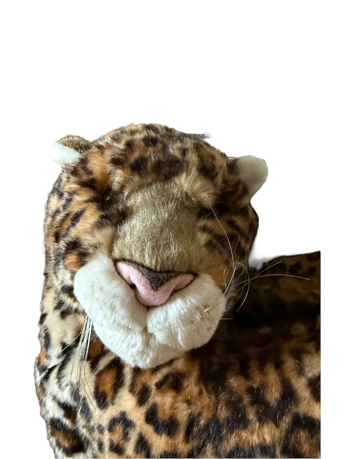 Dolce & Gabbana A/W17 Leopard Backpack Size ONE SIZE - 3 Thumbnail