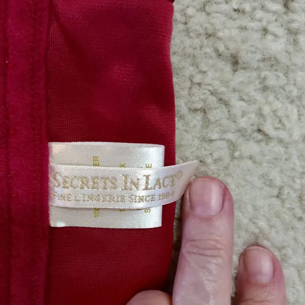 Other Secrets In Lace 3XL Crimson Corset Bralette — Rare Archive Size 3XL / US 20-22 - 2 Thumbnail