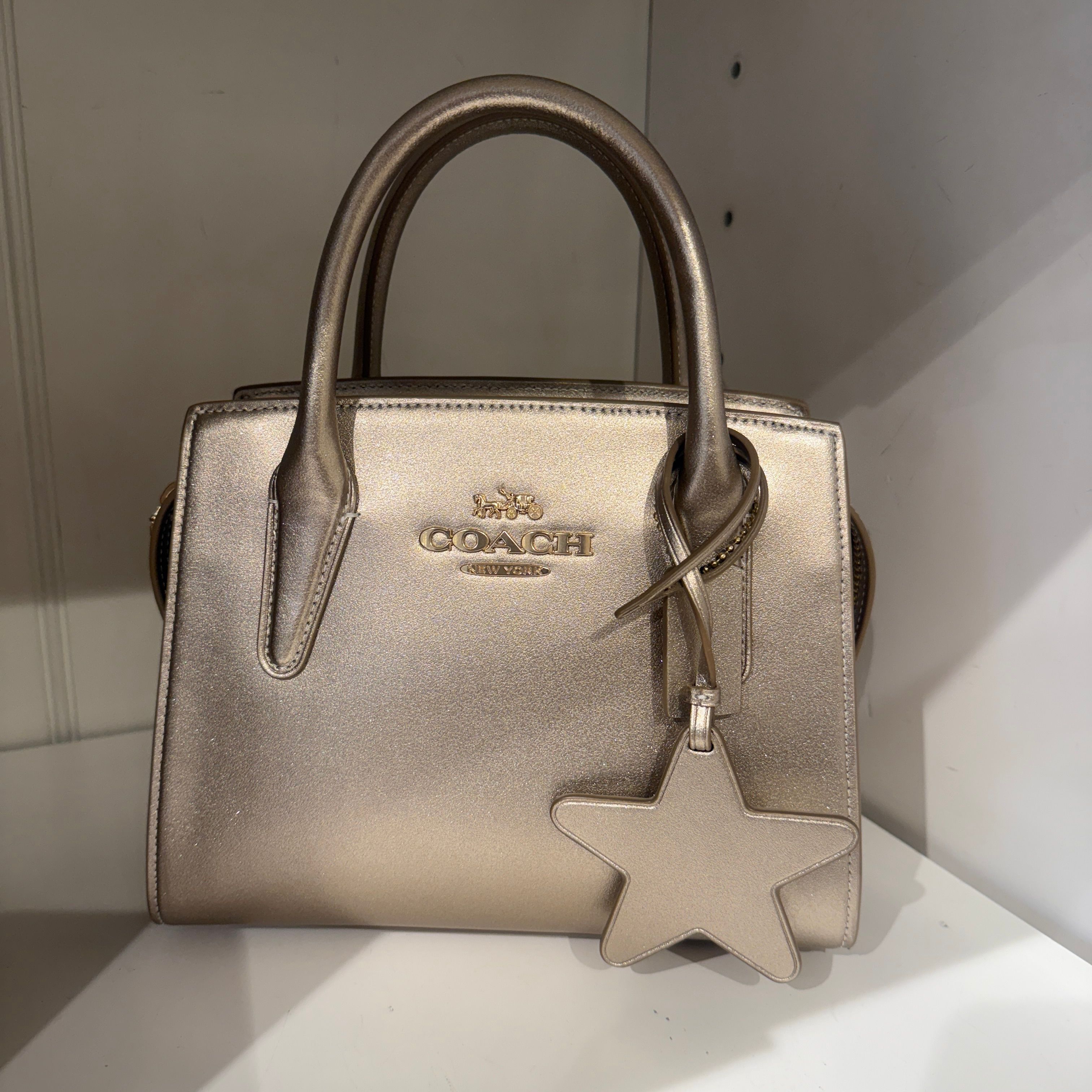coach Andrea Carryall Bag cw024