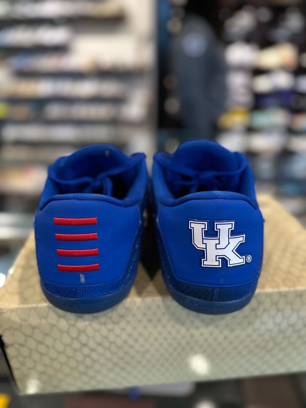 Nike Kobe 6 Elite Low Kentucky PE Clean OG Size 16 Size US 15 / EU 48 - 3 Thumbnail