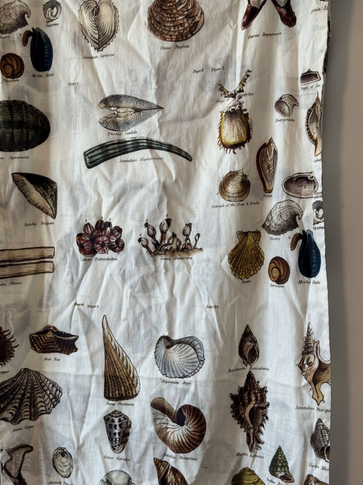 Paul Harnden Shoemakers Shell Printed Cotton Scarf Size ONE SIZE - 4 Thumbnail
