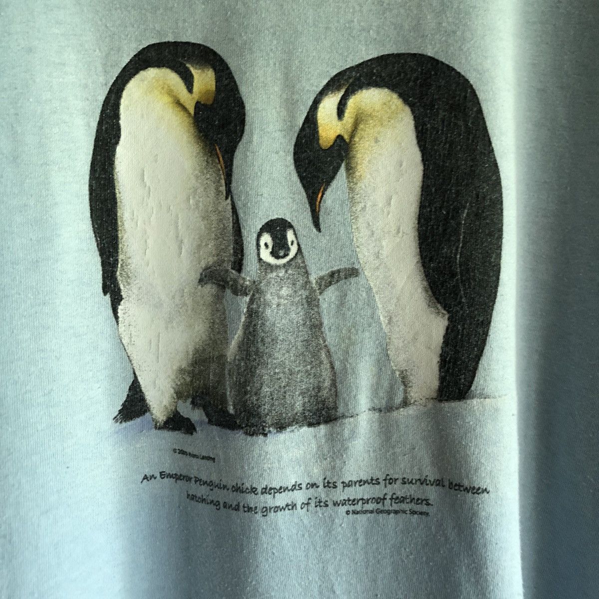 National Geographic Vintage T Shirt Emperor Penguin 2000s