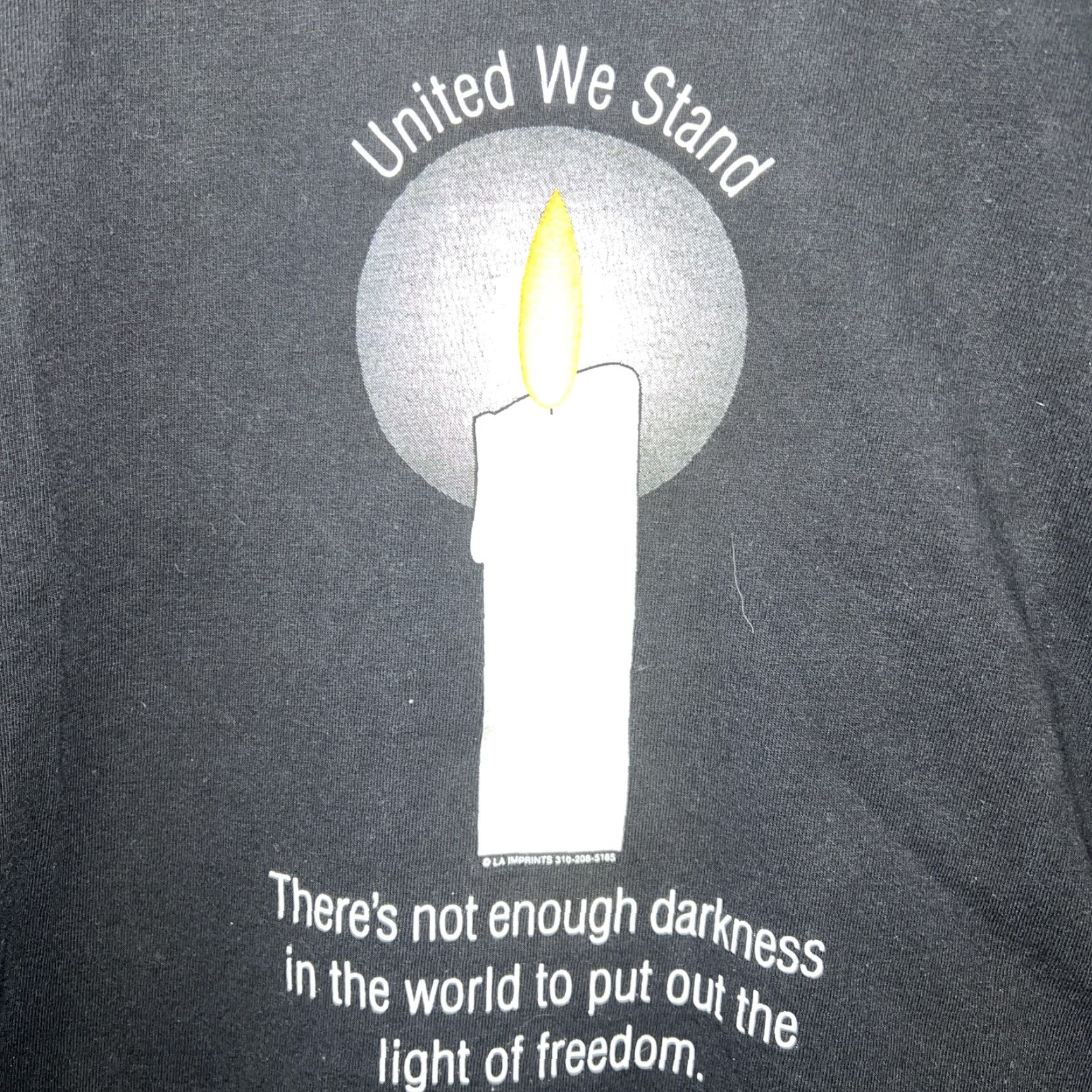 Delta VINTAGE Delta Pro Weight United We Stand Black T-Shirt Mens Size L USA Size US L / EU 52-54 / 3 - 2 Thumbnail