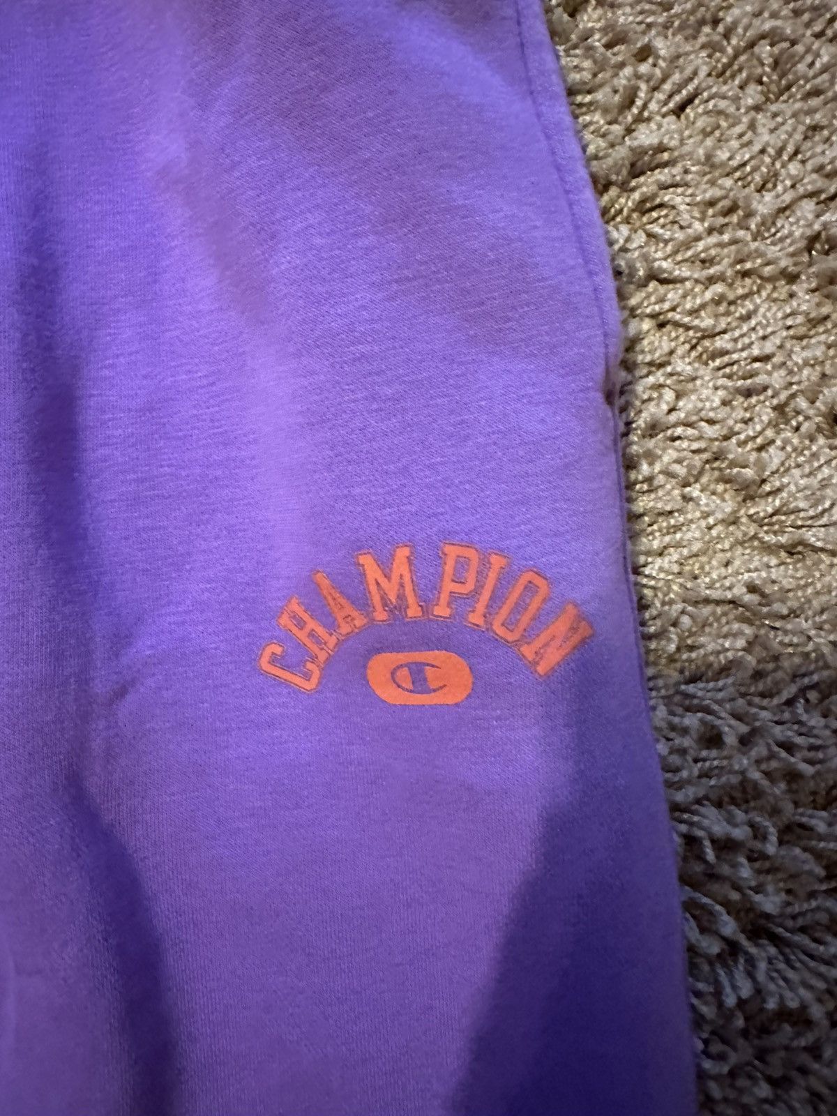 Champion Baggy champion mens M collegiate logo sweatpants M Size US 32 / EU 48 - 4 Thumbnail