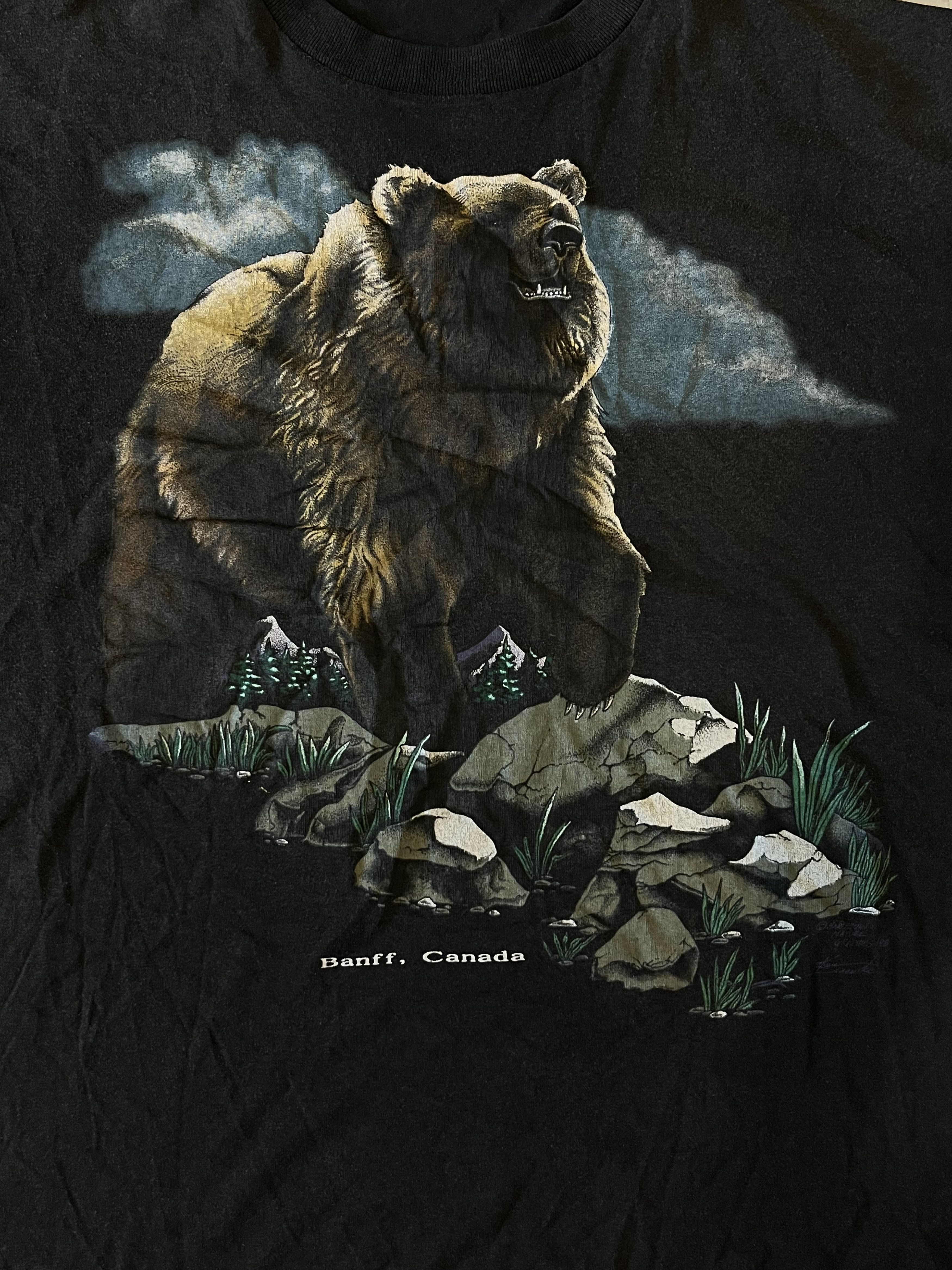 Vintage Vintage 80s Grizzly Bear Banff Canada Size US XL / EU 56 / 4 - 5 Thumbnail
