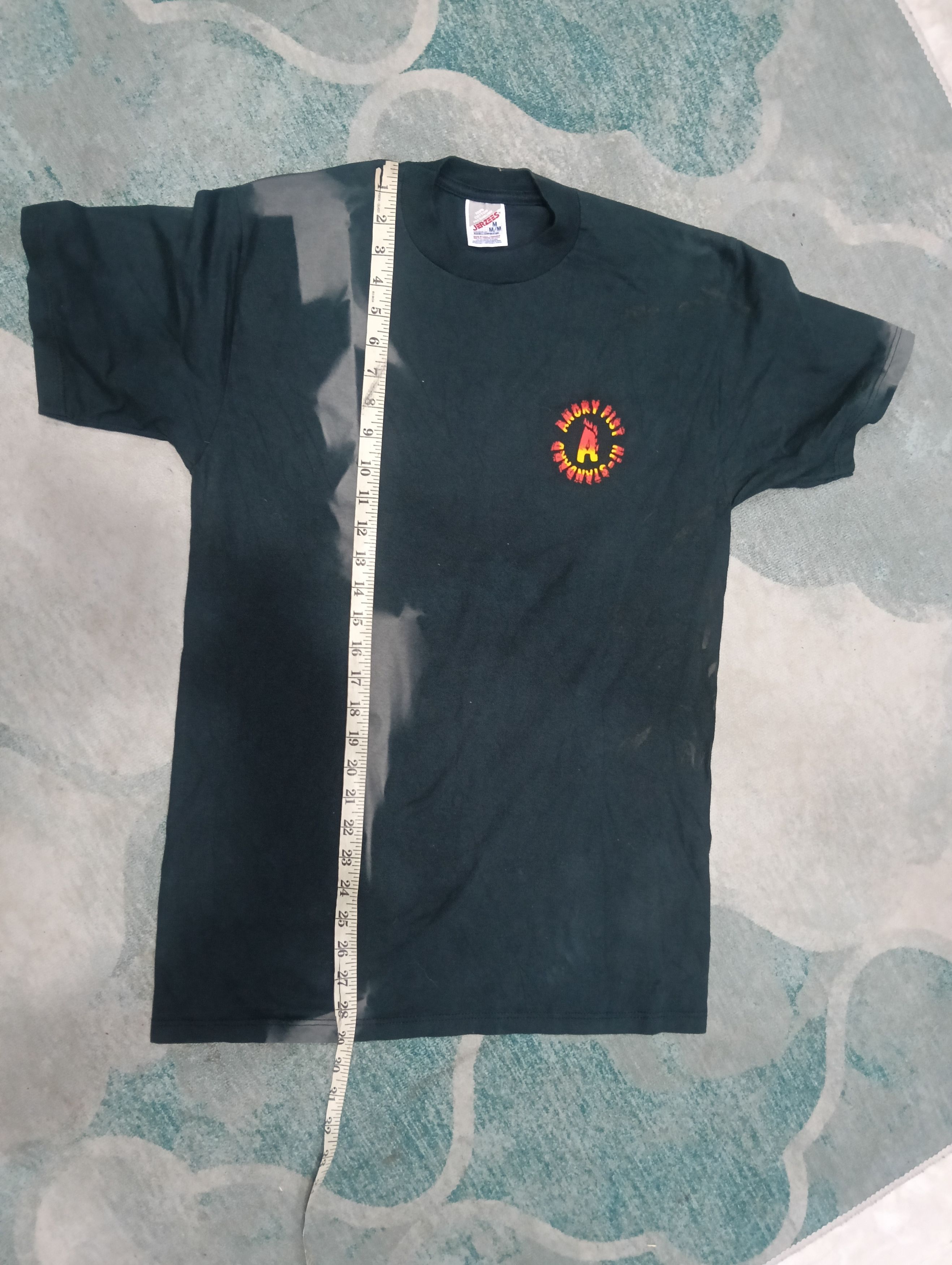 Band Tees Vintage Hi Standard Punk Rock Band Size US M / EU 48-50 / 2 - 15 Thumbnail