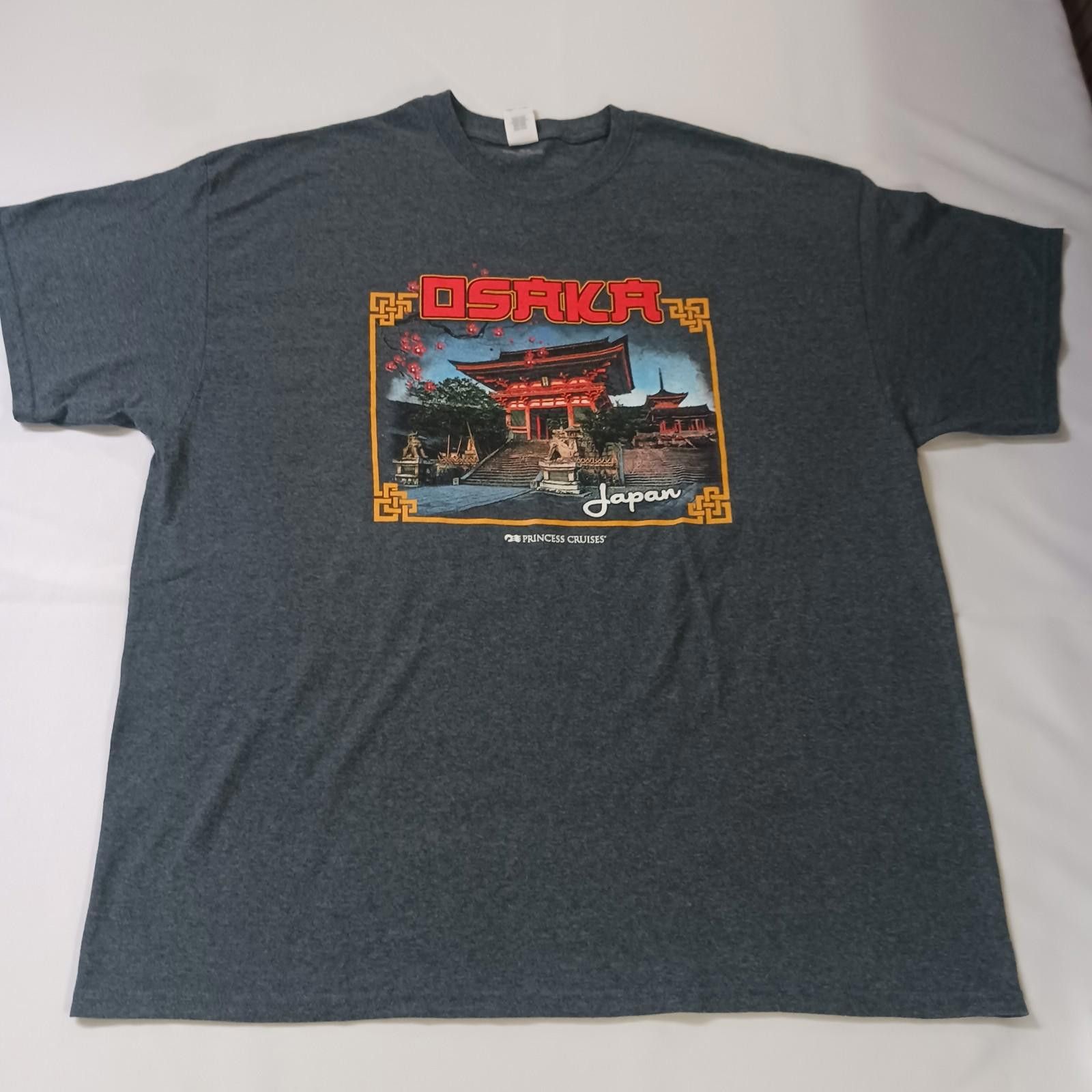 Gildan Gildan Heavy Cotton PRINCESS CRUISES Men's Gray T-Shirt 2XL Size US XXL / EU 58 / 5 - 8 Thumbnail