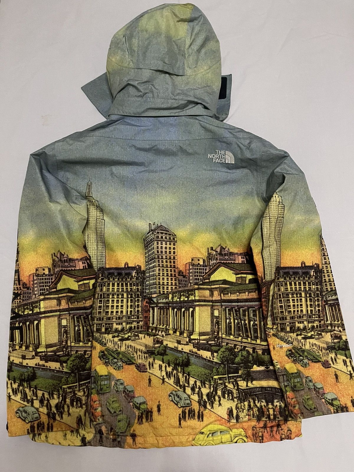 Supreme × The North Face Supreme tnf 08 the north face day summit skyline Jacket Size US L / EU 52-54 / 3 - 2 Thumbnail