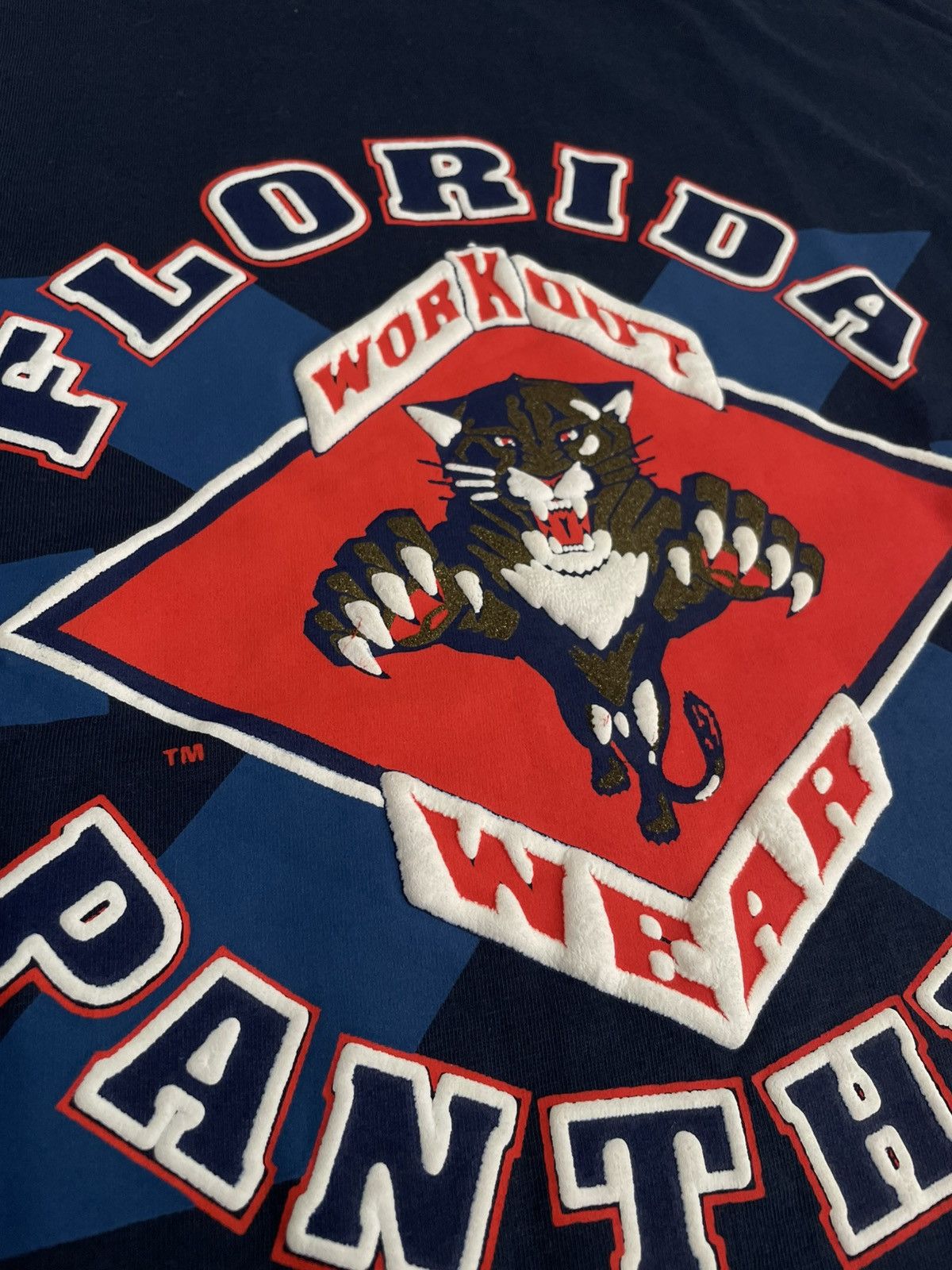 NHL × Vintage Vintage 1993 NHL Florida Panthers Workout Wear Chinin Hockey Size US L / EU 52-54 / 3 - 8 Thumbnail