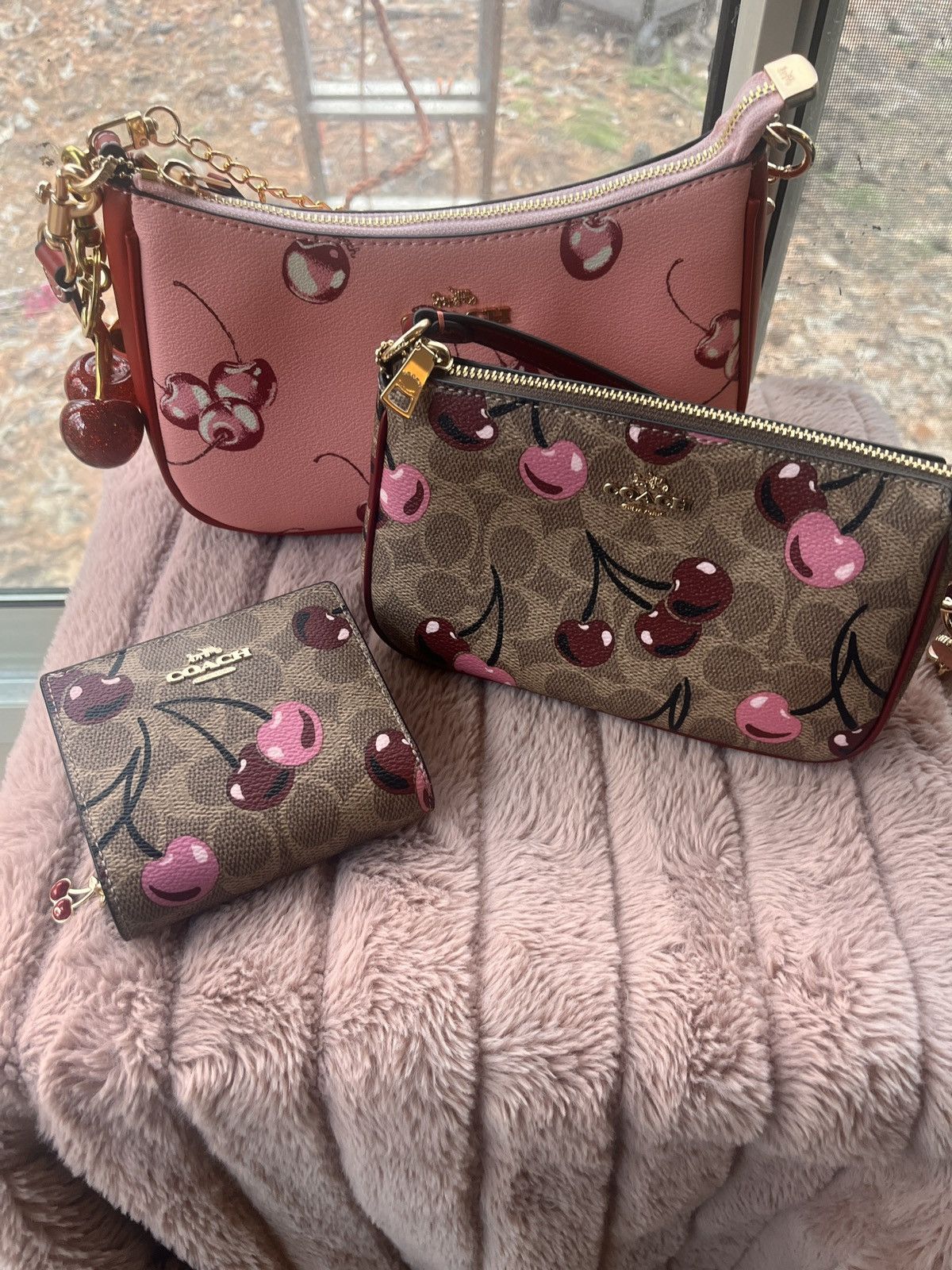 Coach Summer Fruit Collection Teri Bag, Nolita 19 & Wallet Size ONE SIZE - 1 Thumbnail