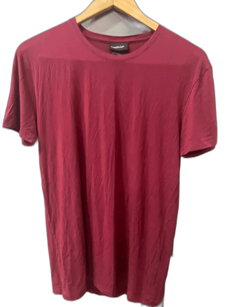 Ermenegildo Zegna Ermenegildo Zegna Red T-Shirt in Size XL Size US XL / EU 56 / 4 - 1 Thumbnail