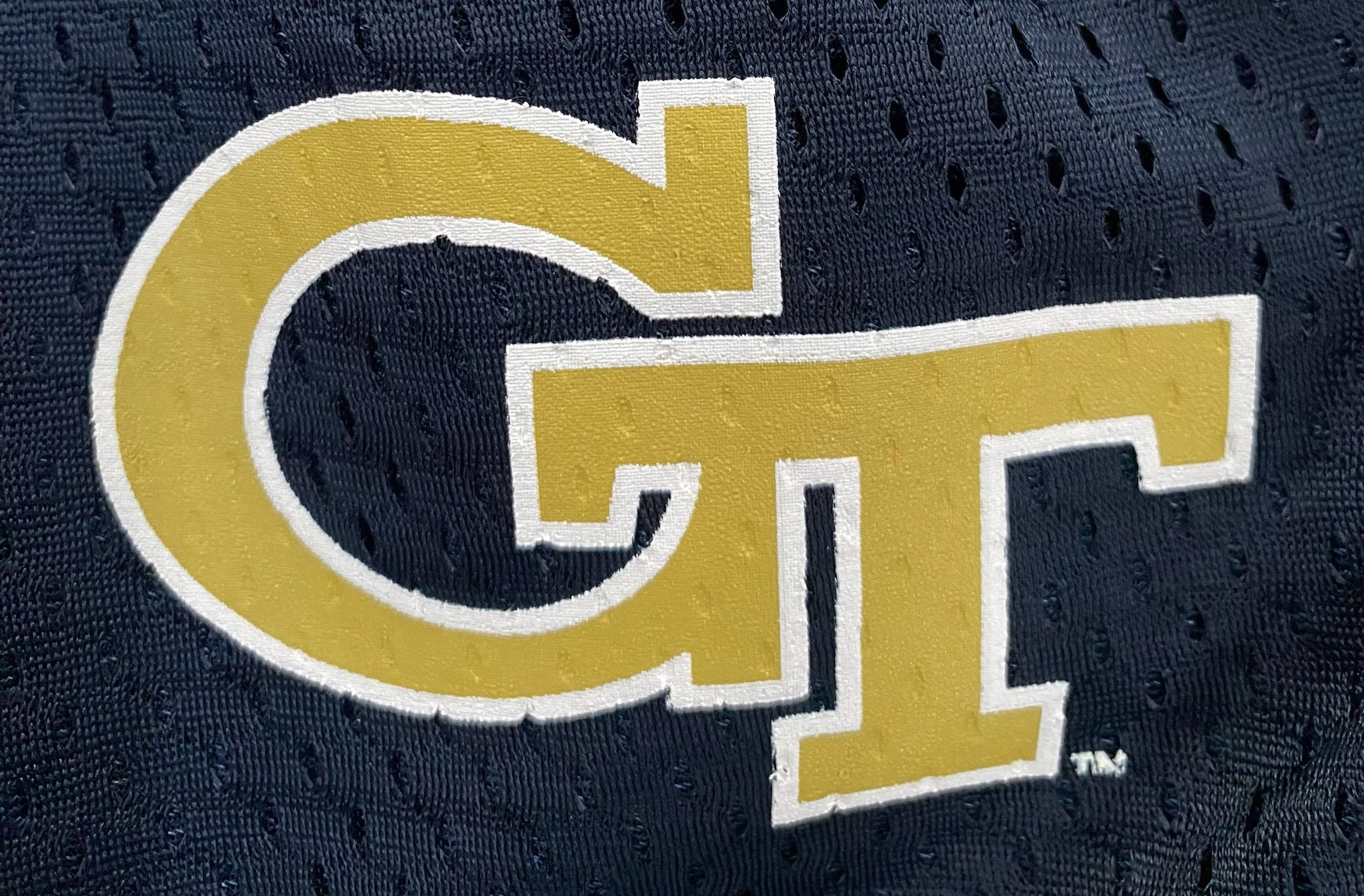 Champion New Champion Georgia Tech Yellow Jackets Mesh Shorts Small Size US 30 / EU 46 - 3 Thumbnail