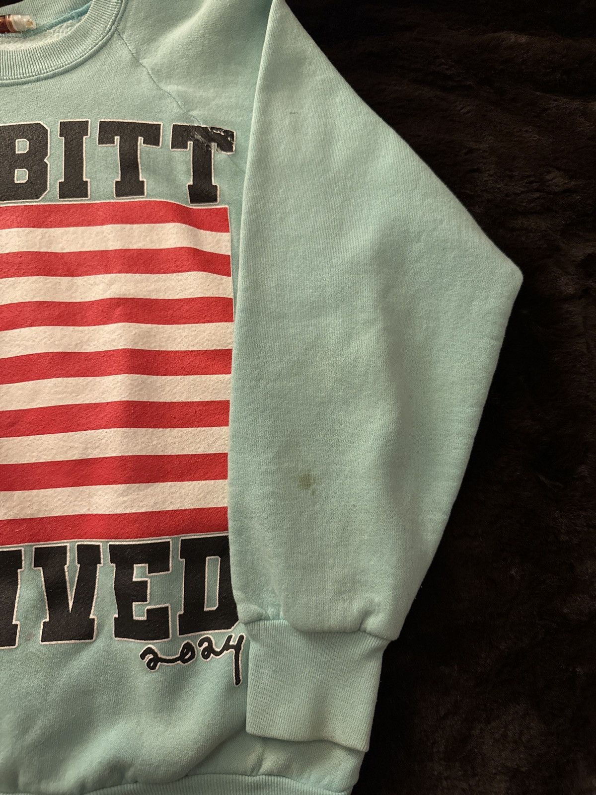 Asspizza Babbitt Revived 2024 American Flag Crewneck Size US S / EU 44-46 / 1 - 2 Thumbnail