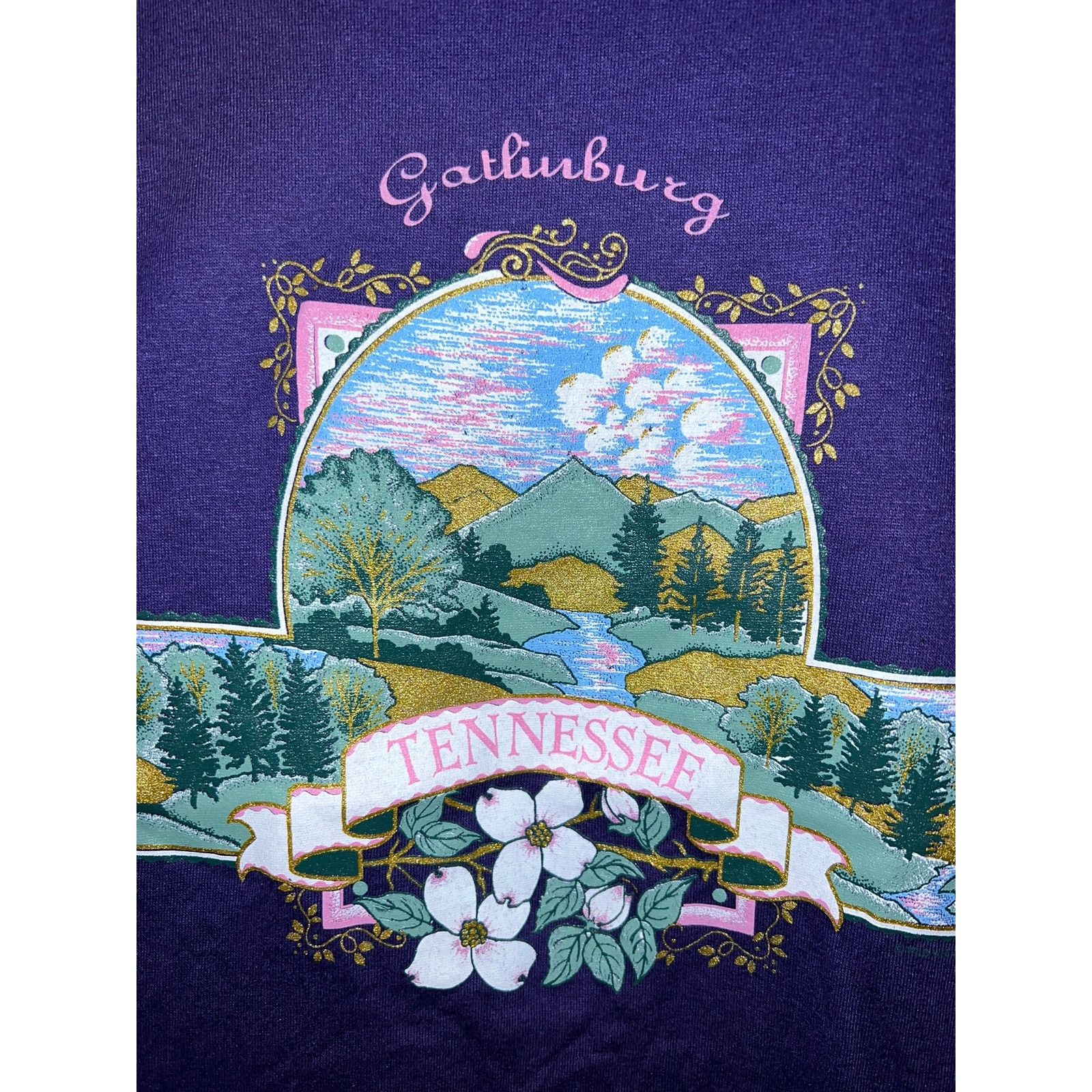 Jerzees Vintage Gatlinburg Shirt Tennessee Nature Shirt VTG 90s L Size US L / EU 52-54 / 3 - 2 Thumbnail