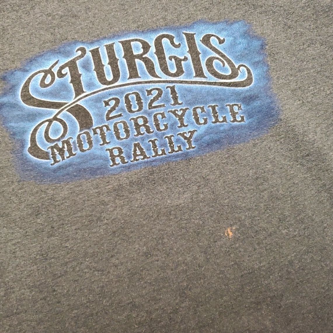 Gildan Sturgis 2021 Motorcycle Rally Shirt Mens Large Long Sleeve Biker Eagle Buffalo Gray Graphic Print Crew Neck Size US L / EU 52-54 / 3 - 2 Thumbnail
