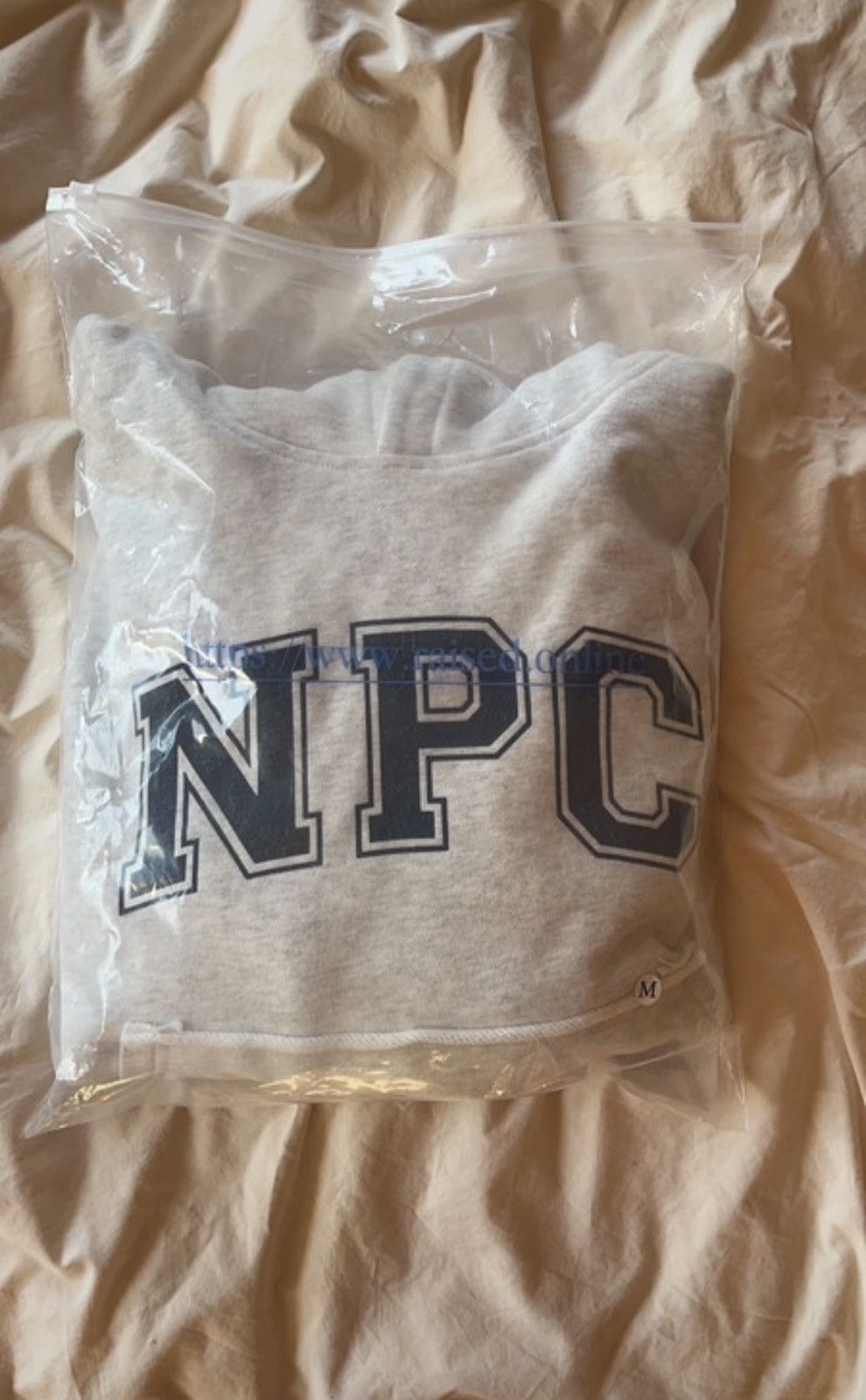 image of Raised Online Npc in Grey, Men's (Size Medium)
