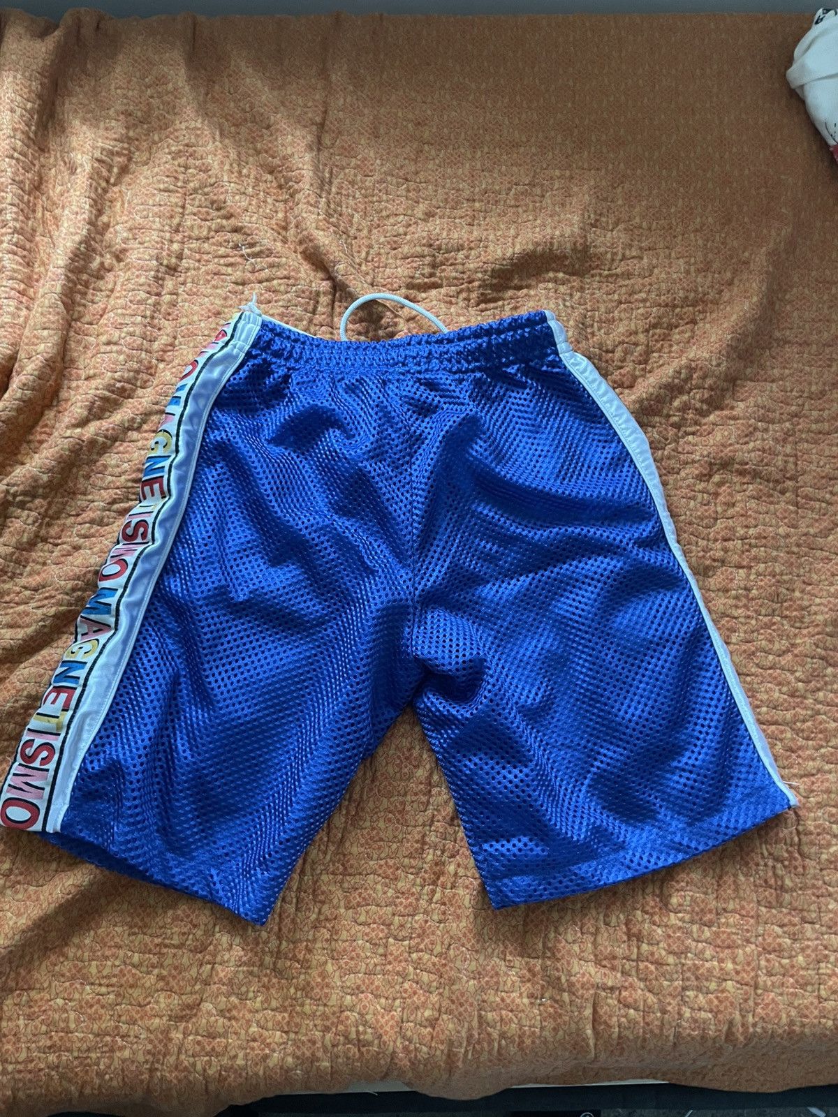 Gucci Gucci Magnetismo Shorts Size US 28 / EU 44 - 2 Thumbnail