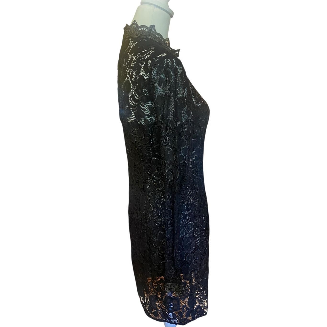 Rachel Zoe Rachel Zoe Metallic Hunter Lace Detail Muddy Dress in Black |  Grailed