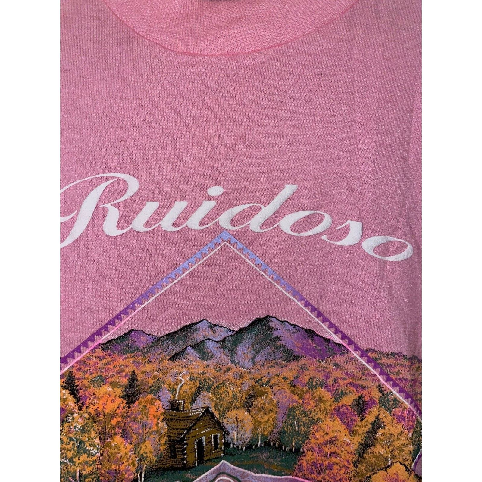 Jerzees Vintage Ruidoso New Mexico Shirt Fall Leaves Tree Tee VTG L Size US L / EU 52-54 / 3 - 7 Thumbnail