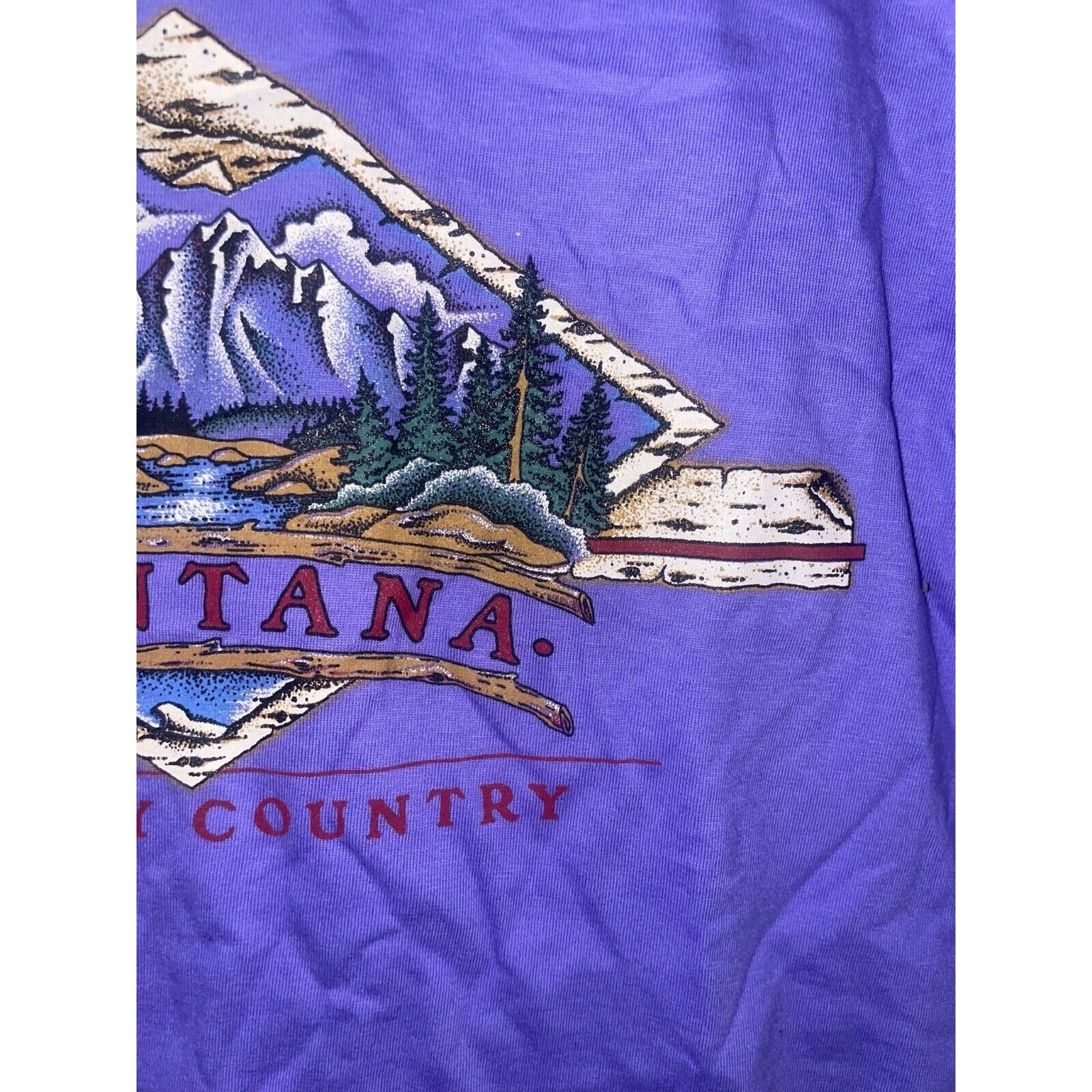 Jerzees Vintage Montana Shirt Big Sky Country Purple Tee VTG 90s L Size US L / EU 52-54 / 3 - 4 Thumbnail