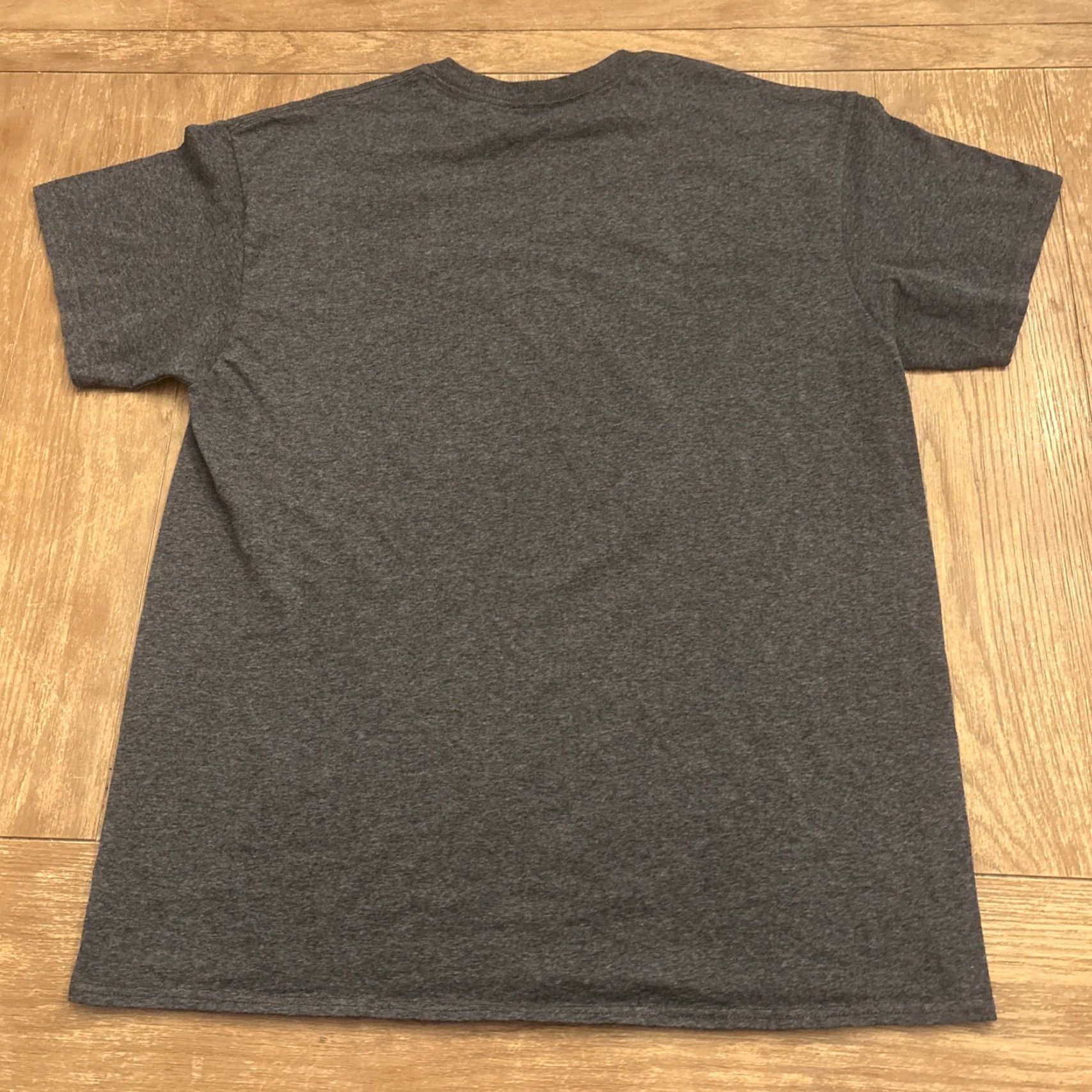 Vintage Knoebels Amusement Park Phoenix Roller Coaster T Shirt Gray M Mens EUC Size US M / EU 48-50 / 2 - 5 Thumbnail