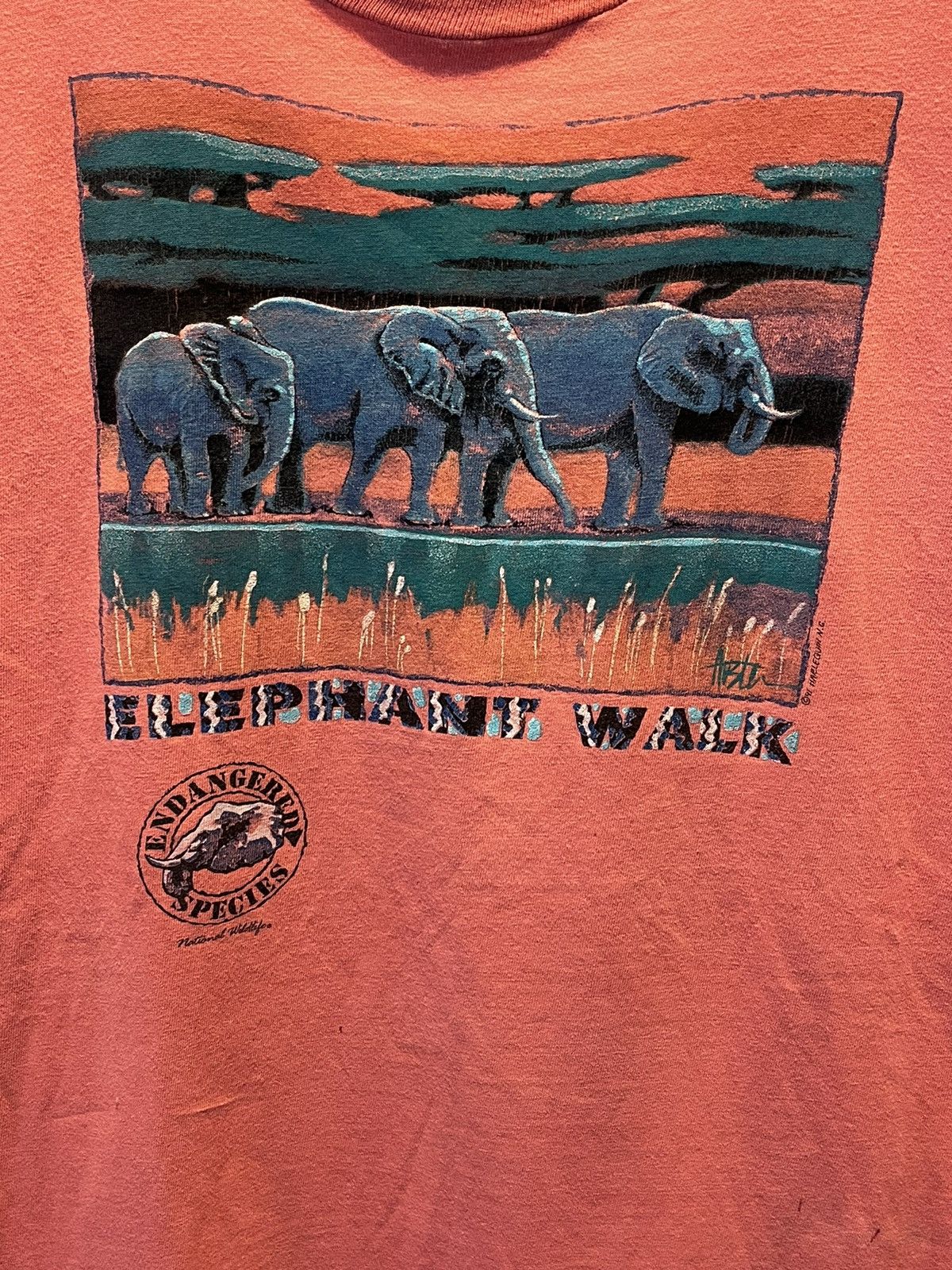 Hanes × Vintage Elephant Nature Tee Size US M / EU 48-50 / 2 - 3 Thumbnail