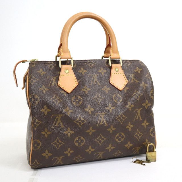 Louis Vuitton Speedy Monogram Handbag