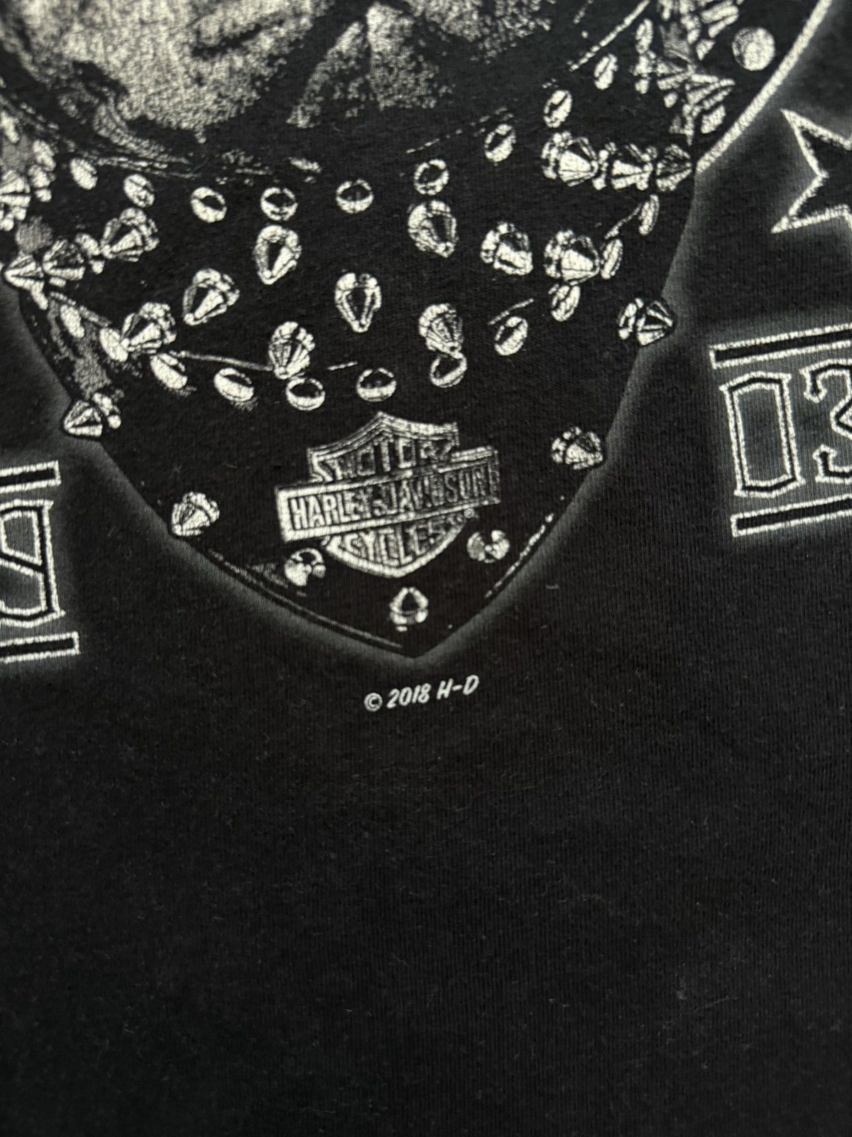 Band Tees × Harley Davidson × Vintage Vintage 2018 Harley Davidson AARGAU Bikers Dog T-Shirt Size US L / EU 52-54 / 3 - 10 Thumbnail