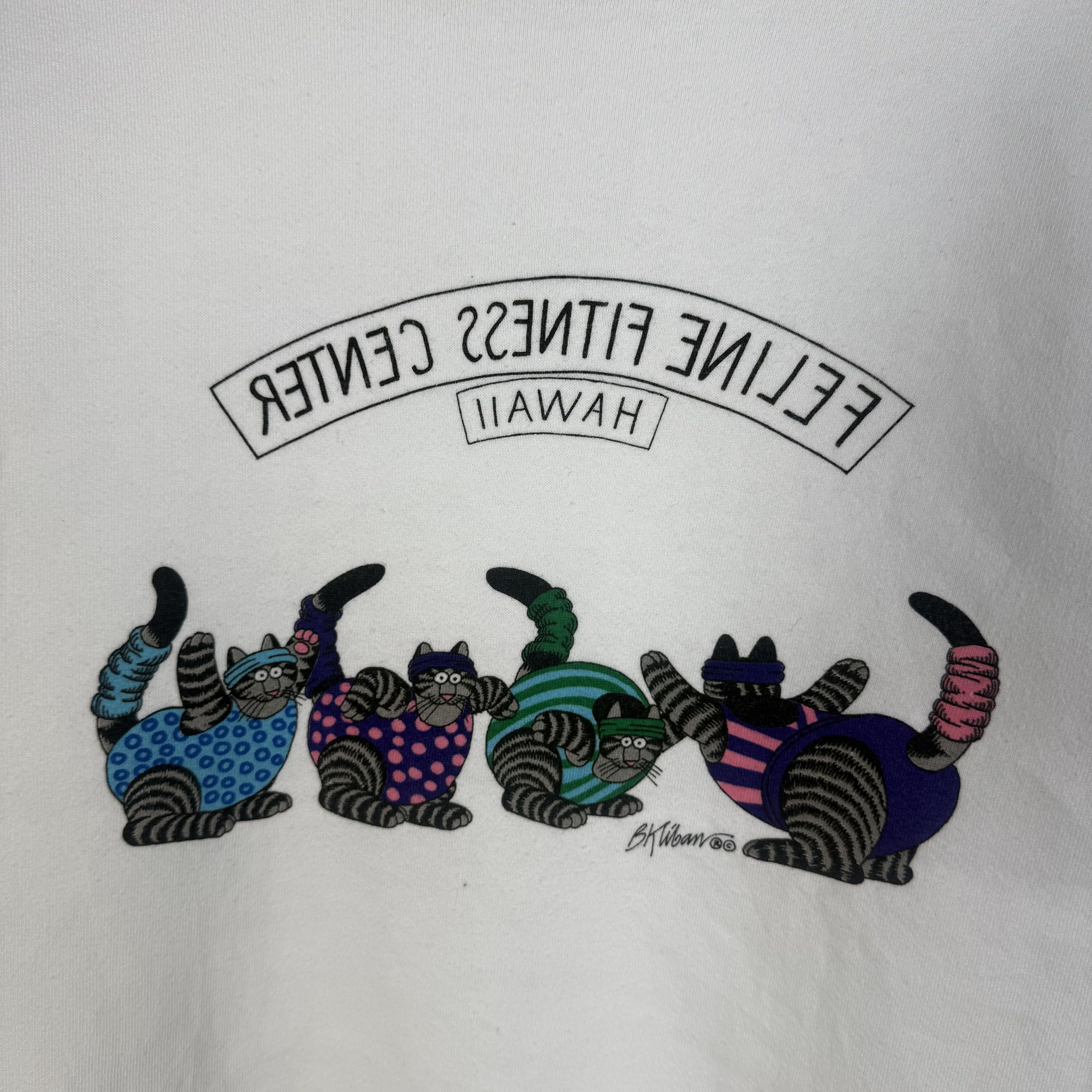 Vintage Vintage Crazy Shirts Sweatshirt Crewneck Size US S / EU 44-46 / 1 - 4 Thumbnail