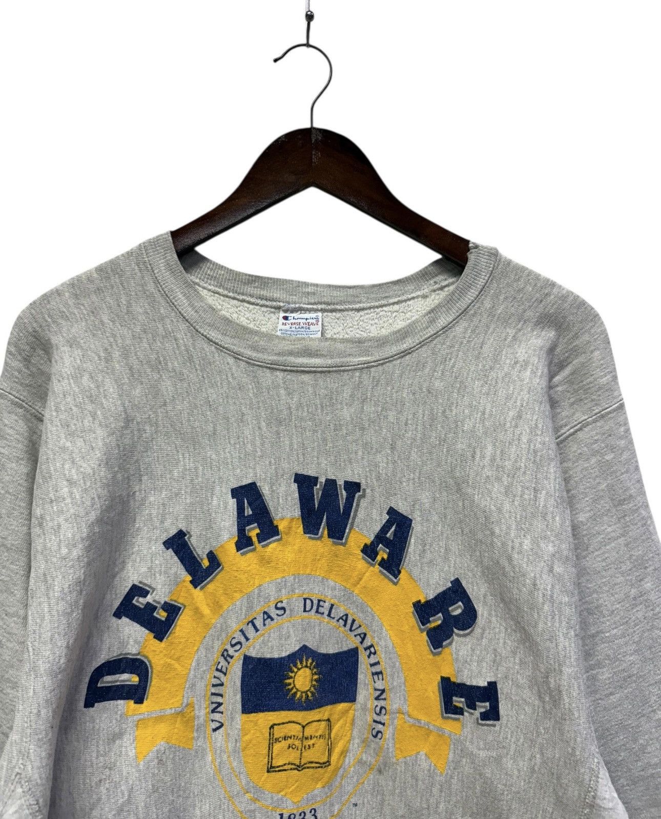 Champion Vintage 90s champion reverse weave delaware university Size US L / EU 52-54 / 3 - 8 Thumbnail