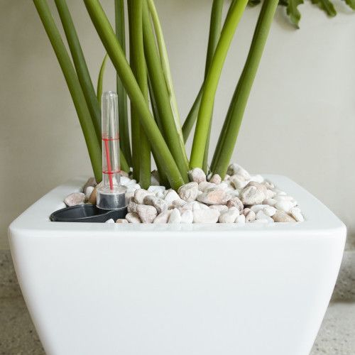 Designer × Homemade 2-Pack Smart Self-watering Planter Pot for Indoor and Outdoo Size US L / EU 52-54 / 3 - 8 Thumbnail