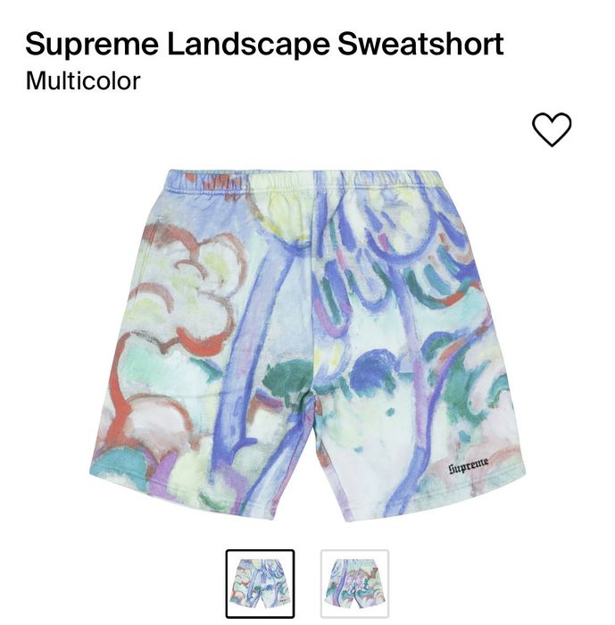 Supreme shop landscape shorts