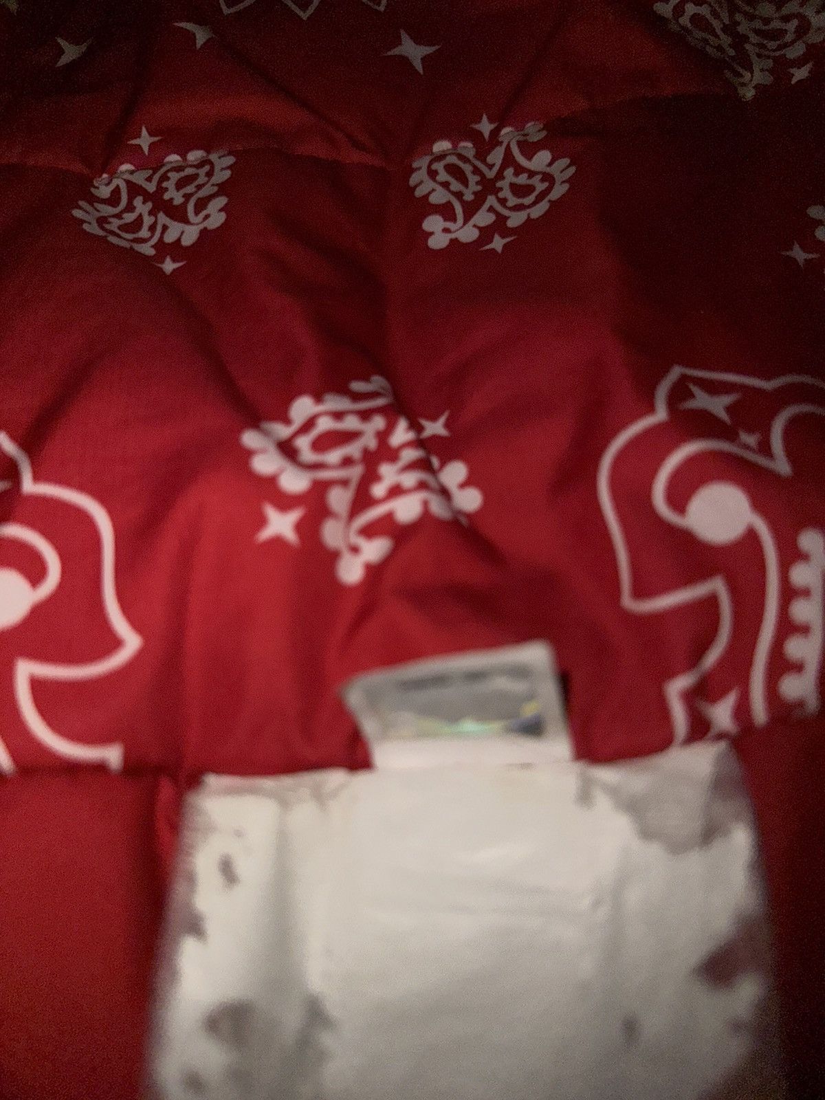 Supreme × The North Face Supreme North Face Red Paisley Sleeping Bag Size ONE SIZE - 3 Thumbnail
