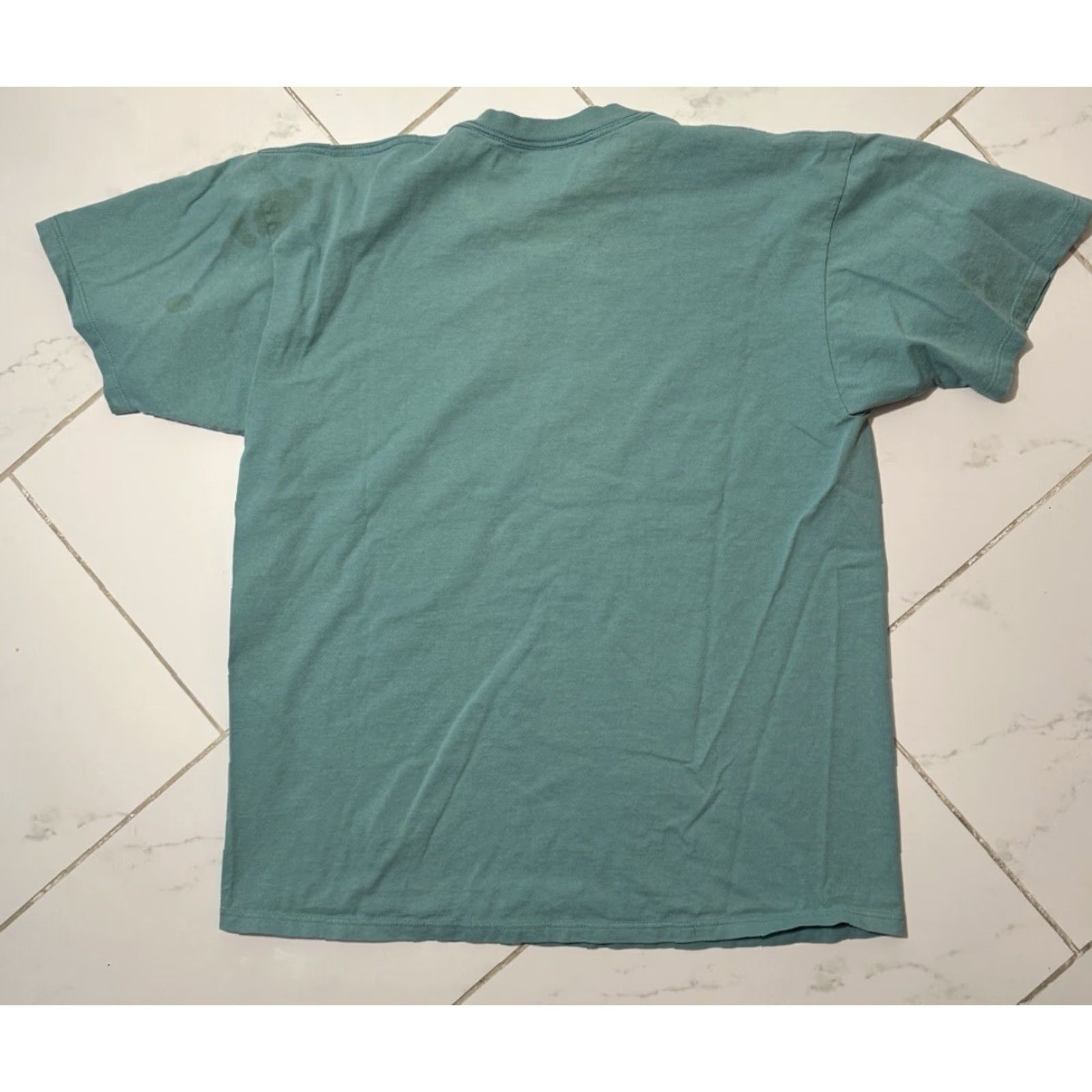 Jerzees VINTAGE 90s Birds Art Nature Flower Cute Illinois Teal Blue T-Shirt XL Jerzees Unisex Adults Blue Nature Shirt XL Size US XL / EU 56 / 4 - 6 Thumbnail