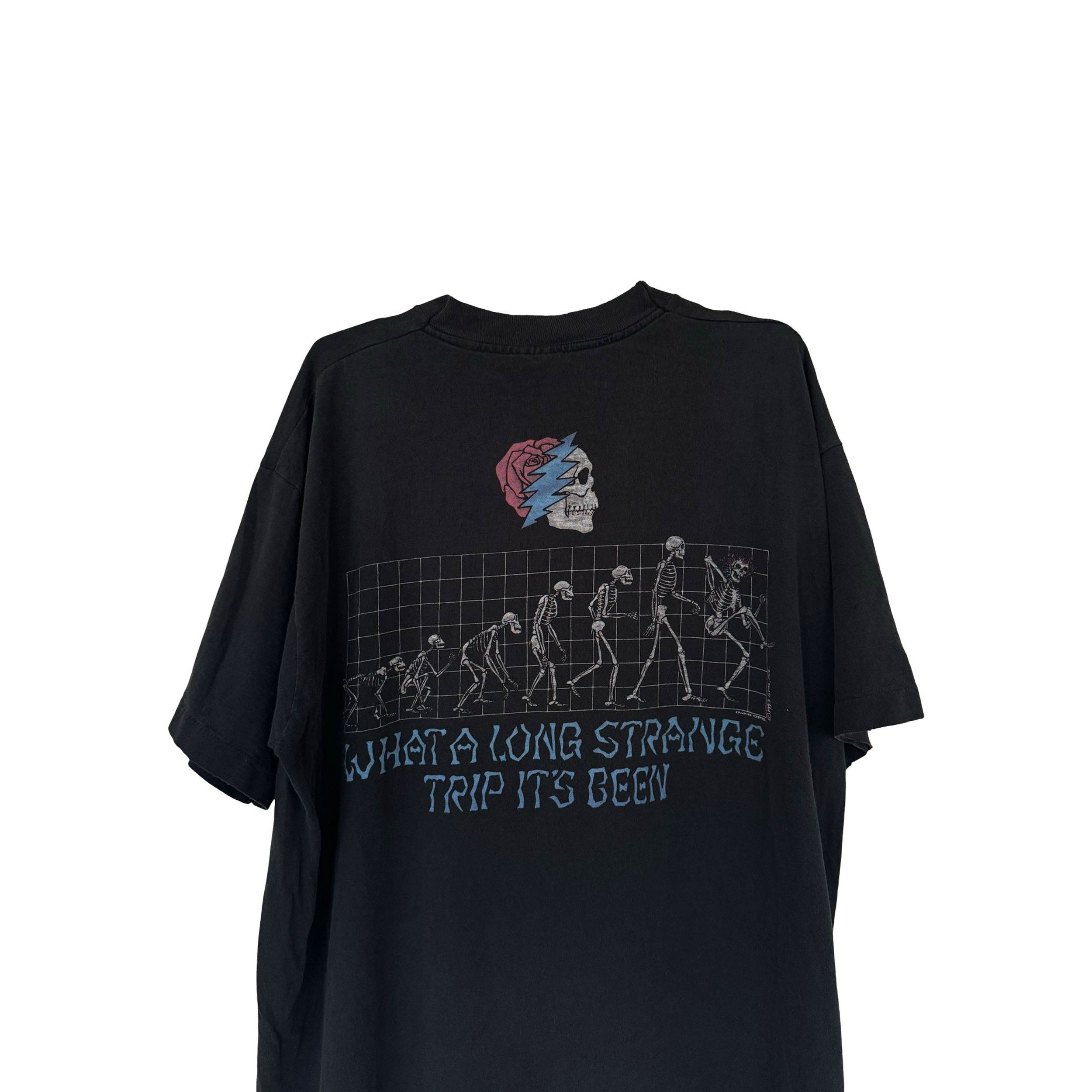 Grateful Dead Strange Trip 1993