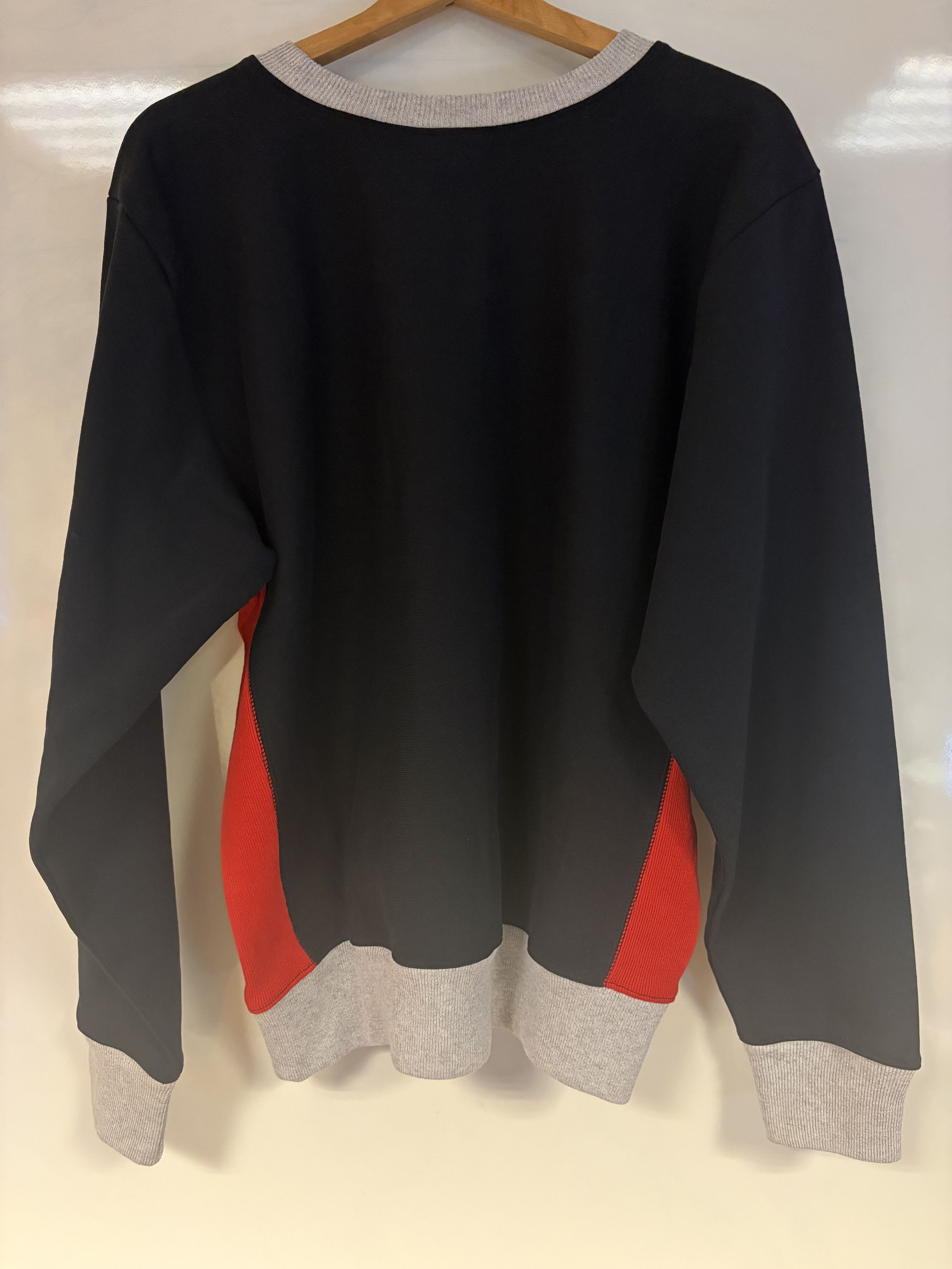 Champion × DENIM TEARS Champion Tears Black Red Long sleeve Size US M / EU 48-50 / 2 - 2 Thumbnail