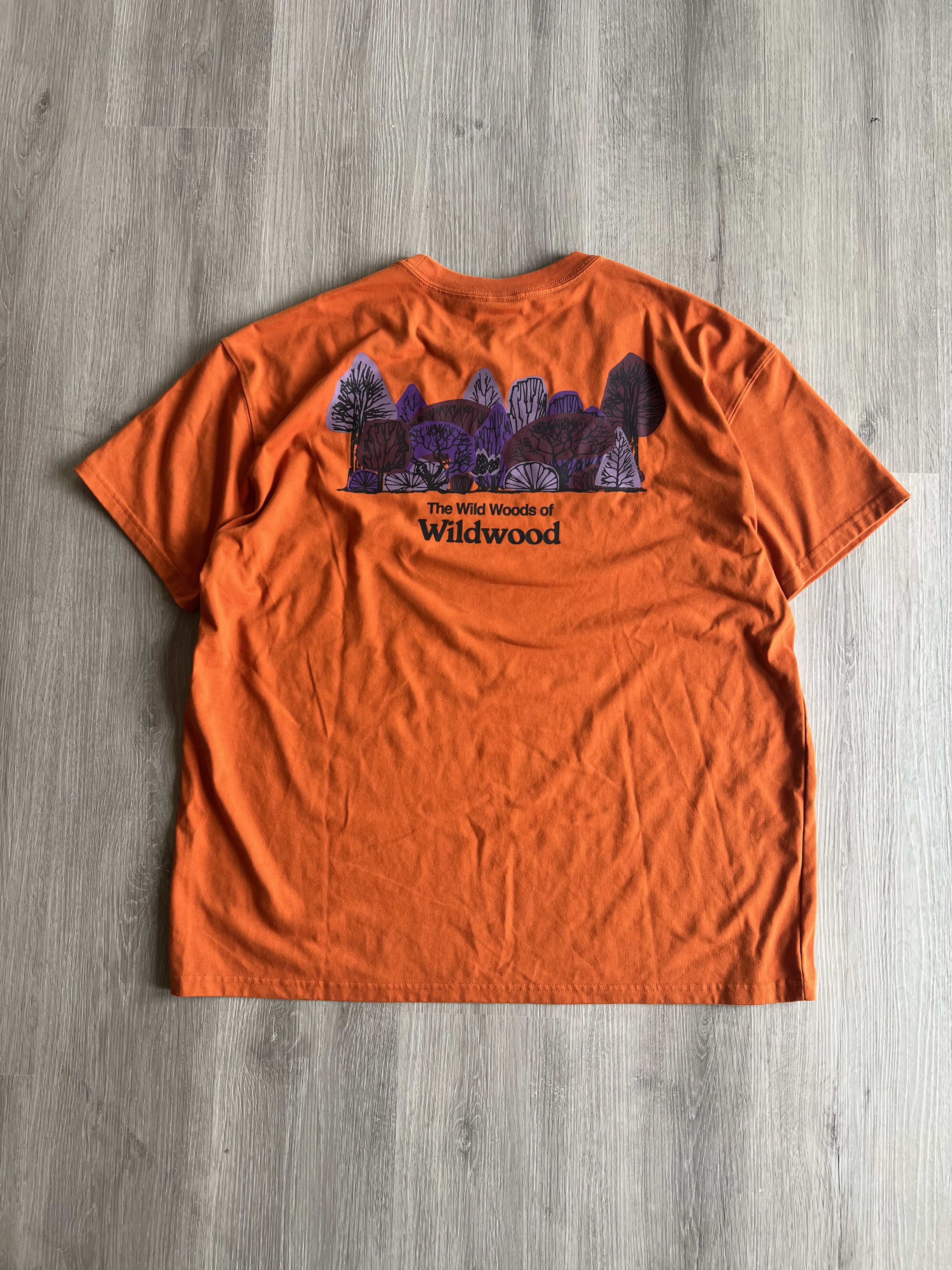 Nike ACG Wilderness Tee / Gorpcore Size US XL / EU 56 / 4 - 1 Thumbnail