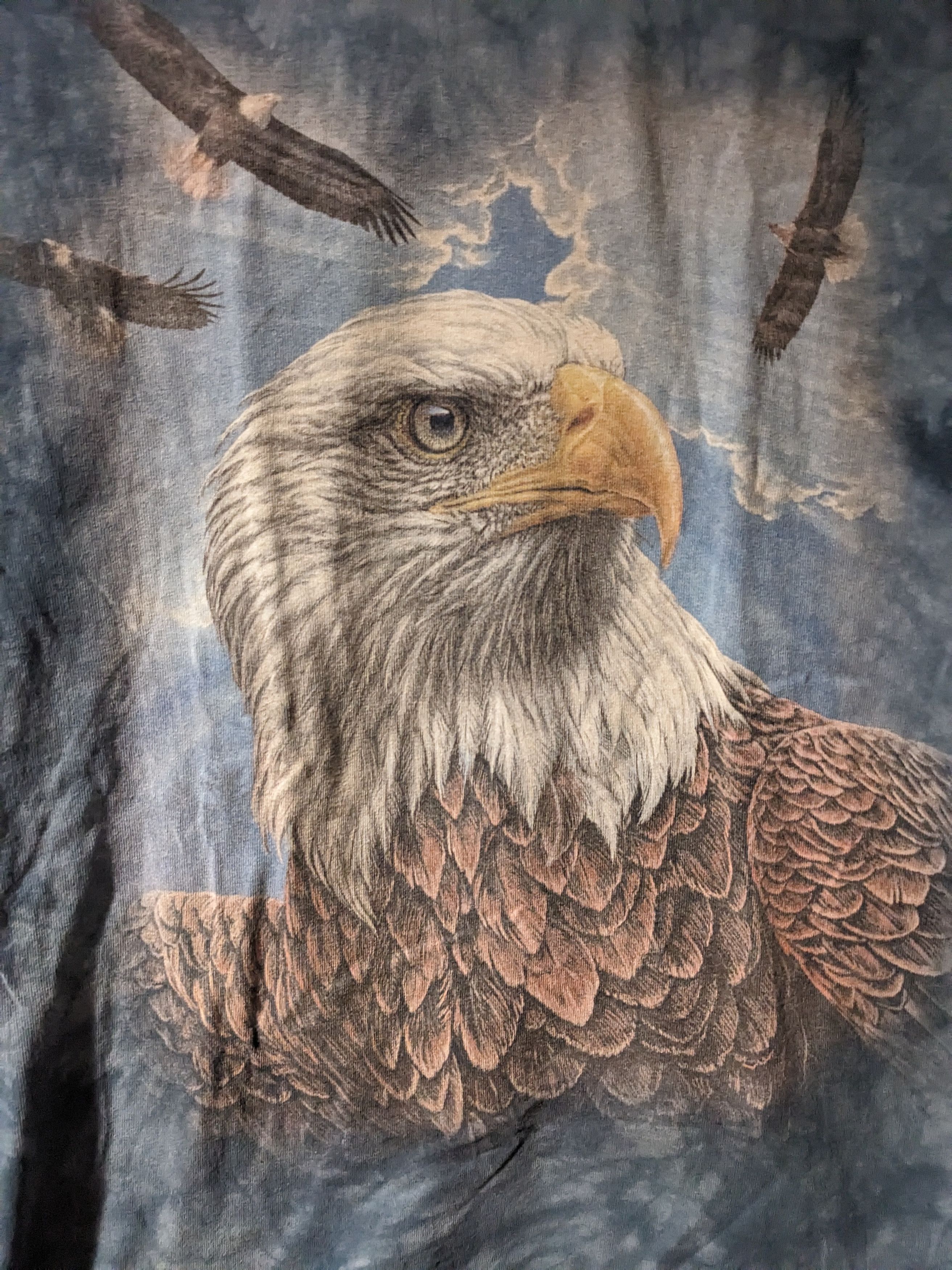 The Mountain × Vintage Vintage 2010's The Mountain Bald Eagle Animal Nature T-Shirt Size US M / EU 48-50 / 2 - 2 Thumbnail