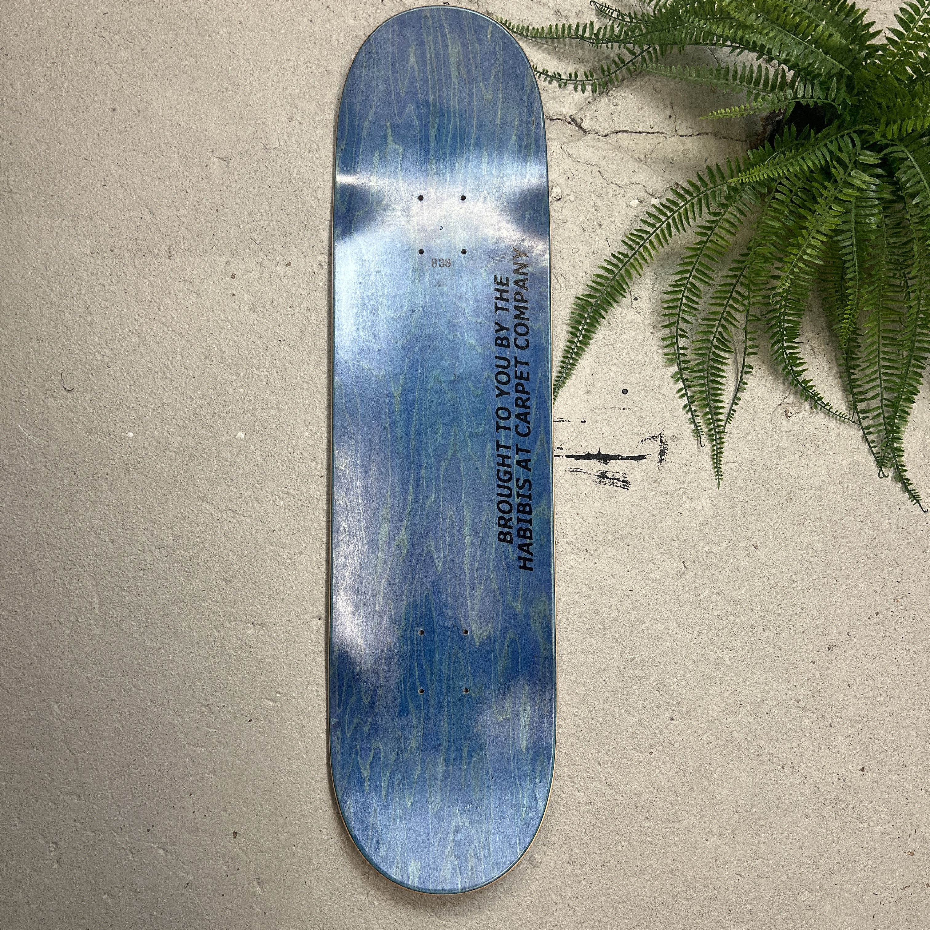 Other Carpet C-Star Skateboard 165 of 320 Size ONE SIZE - 4 Thumbnail