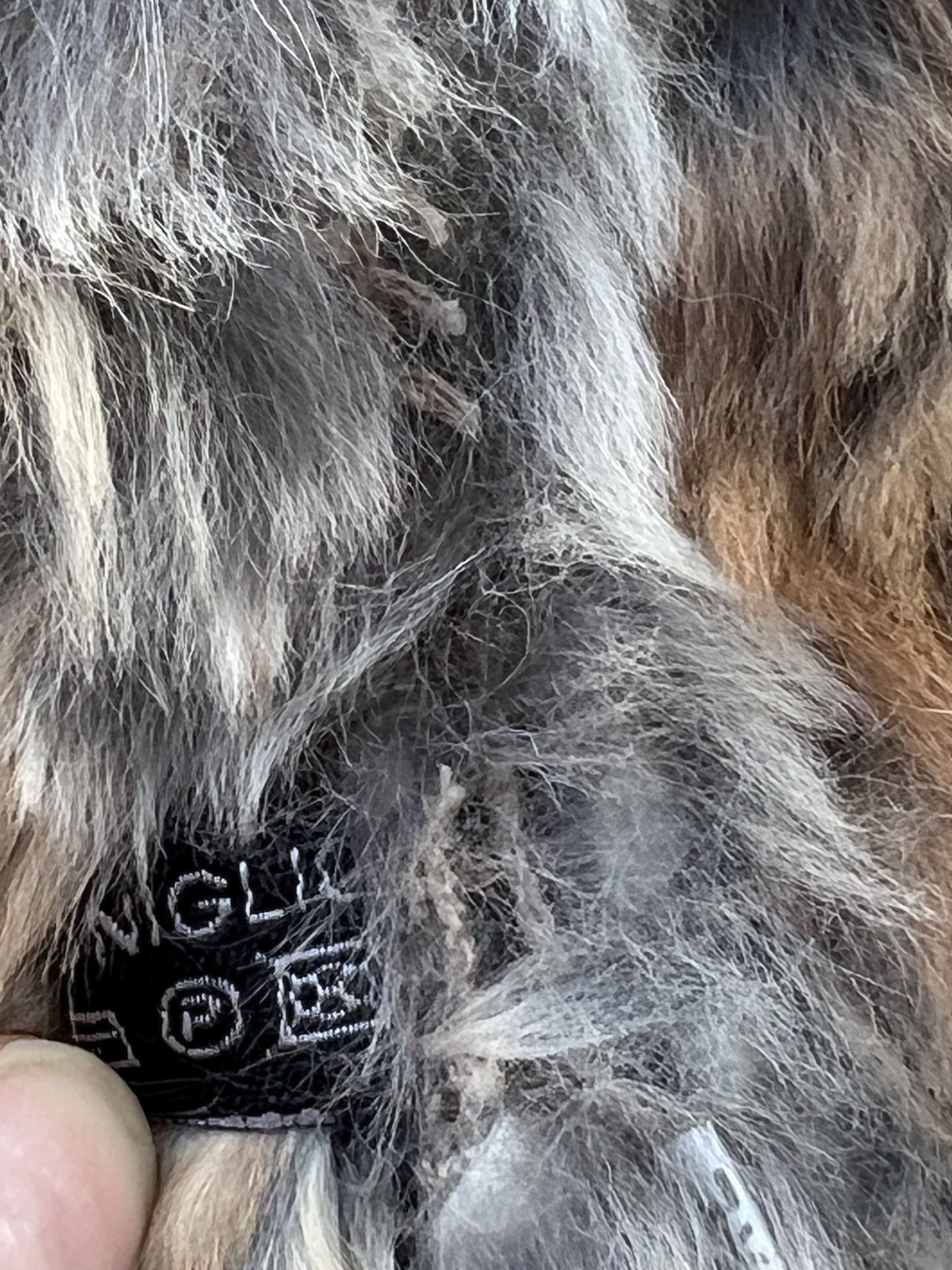 Japanese Brand real rabbit fur jacket avant garde Size M / US 6-8 / IT 42-44 - 10 Thumbnail