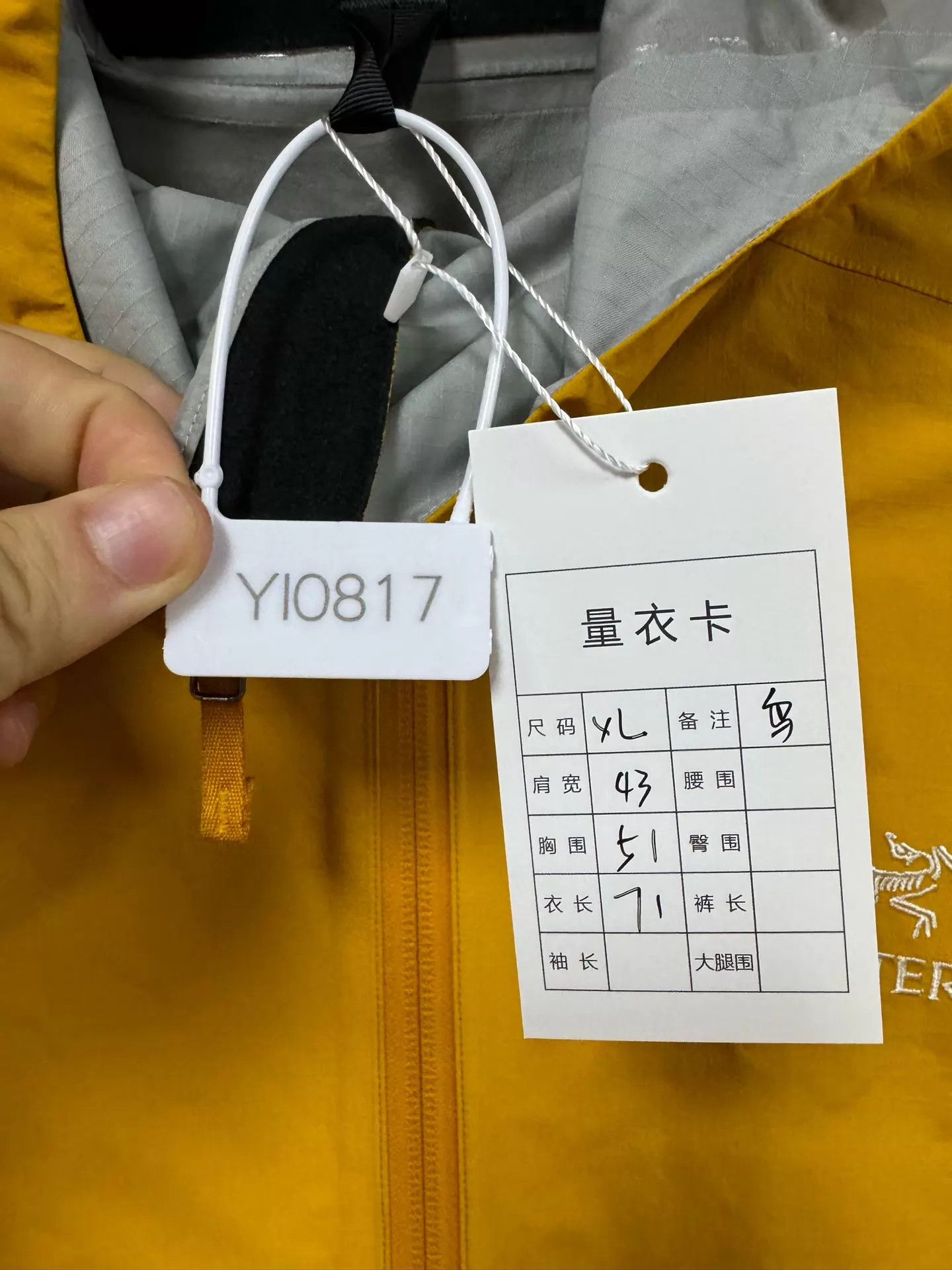 Arc'teryx Arc'teryx Zeta SL Women's Yellow XL Near New Size XL / US 12-14 / IT 48-50 - 7 Thumbnail