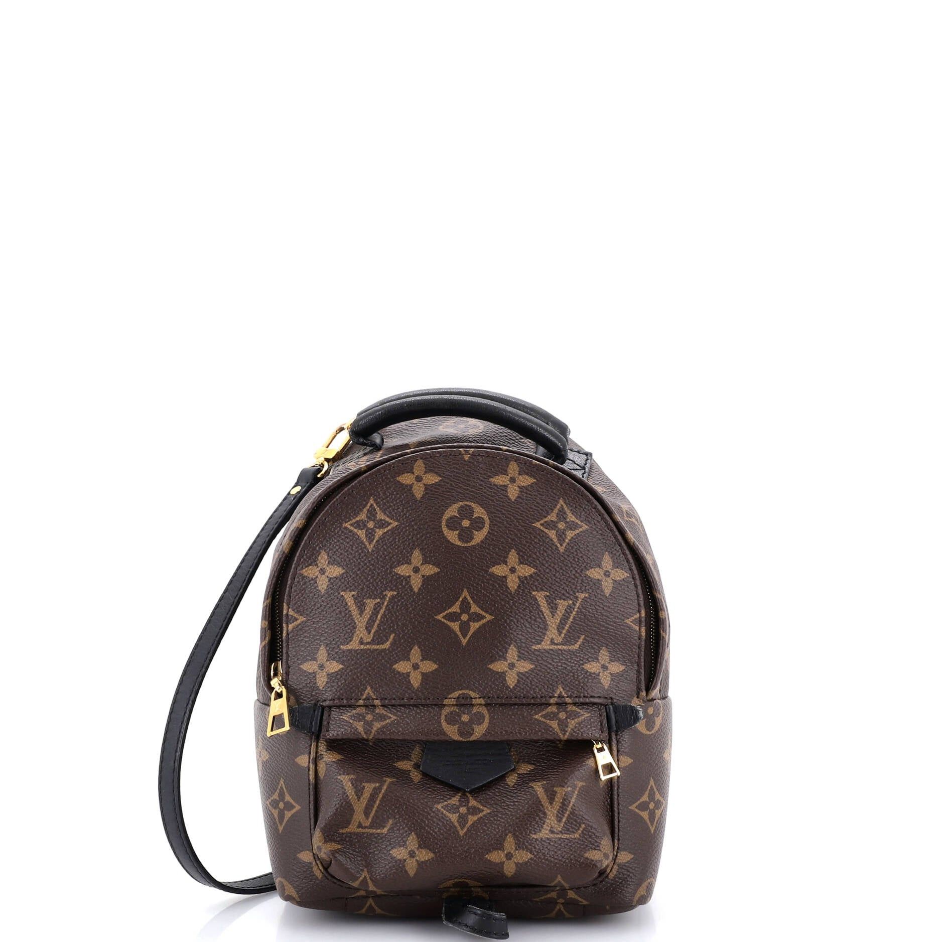 Louis Vuitton Palm Springs Backpack Size ONE SIZE - 1 Thumbnail