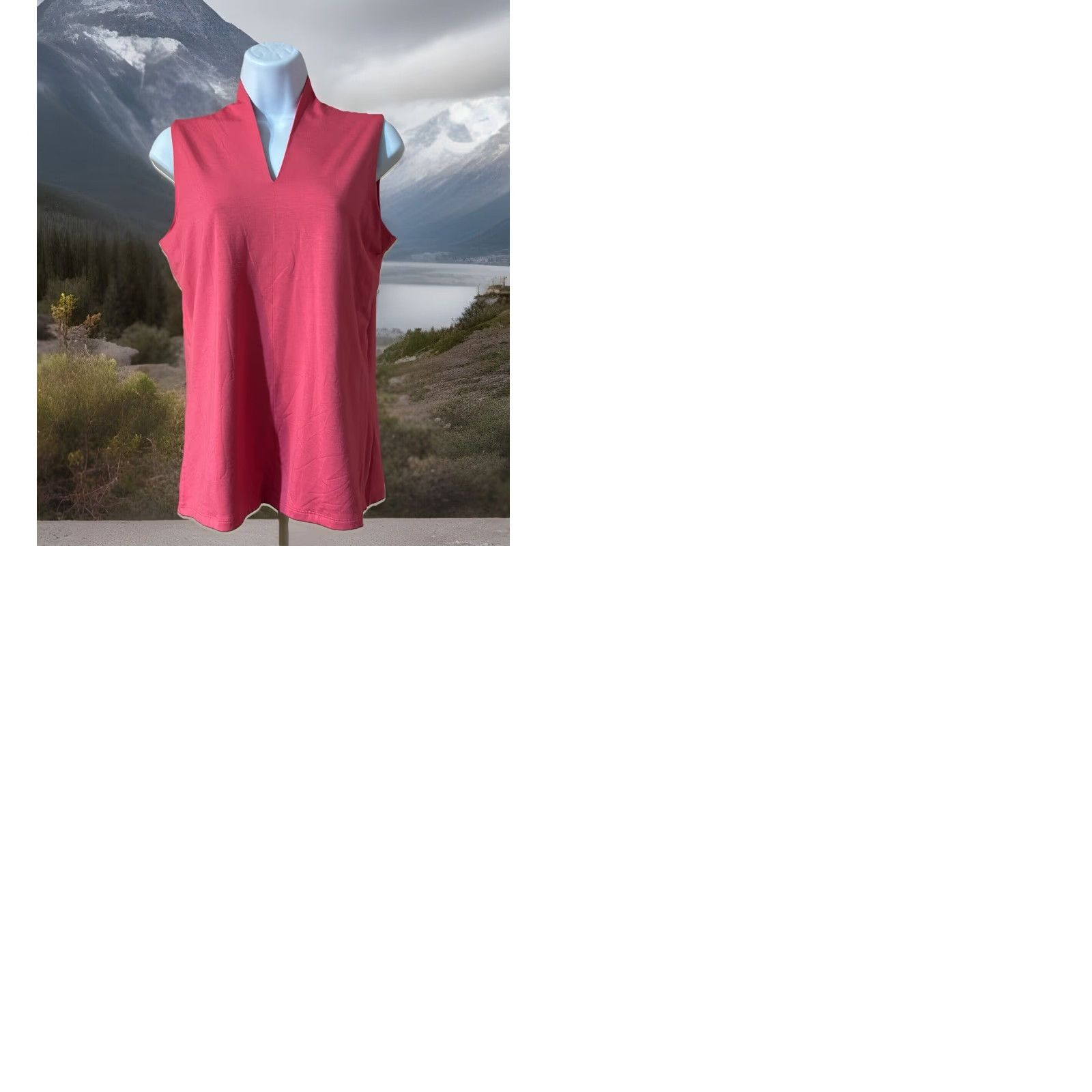 Talbots Talbots Sleeveless Top Blouse V-Neck Women Small Coral Color 2012 Ladies Tank Bohemian Summer Fashion Shirt Womens Size S / US 4 / IT 40 - 12 Thumbnail