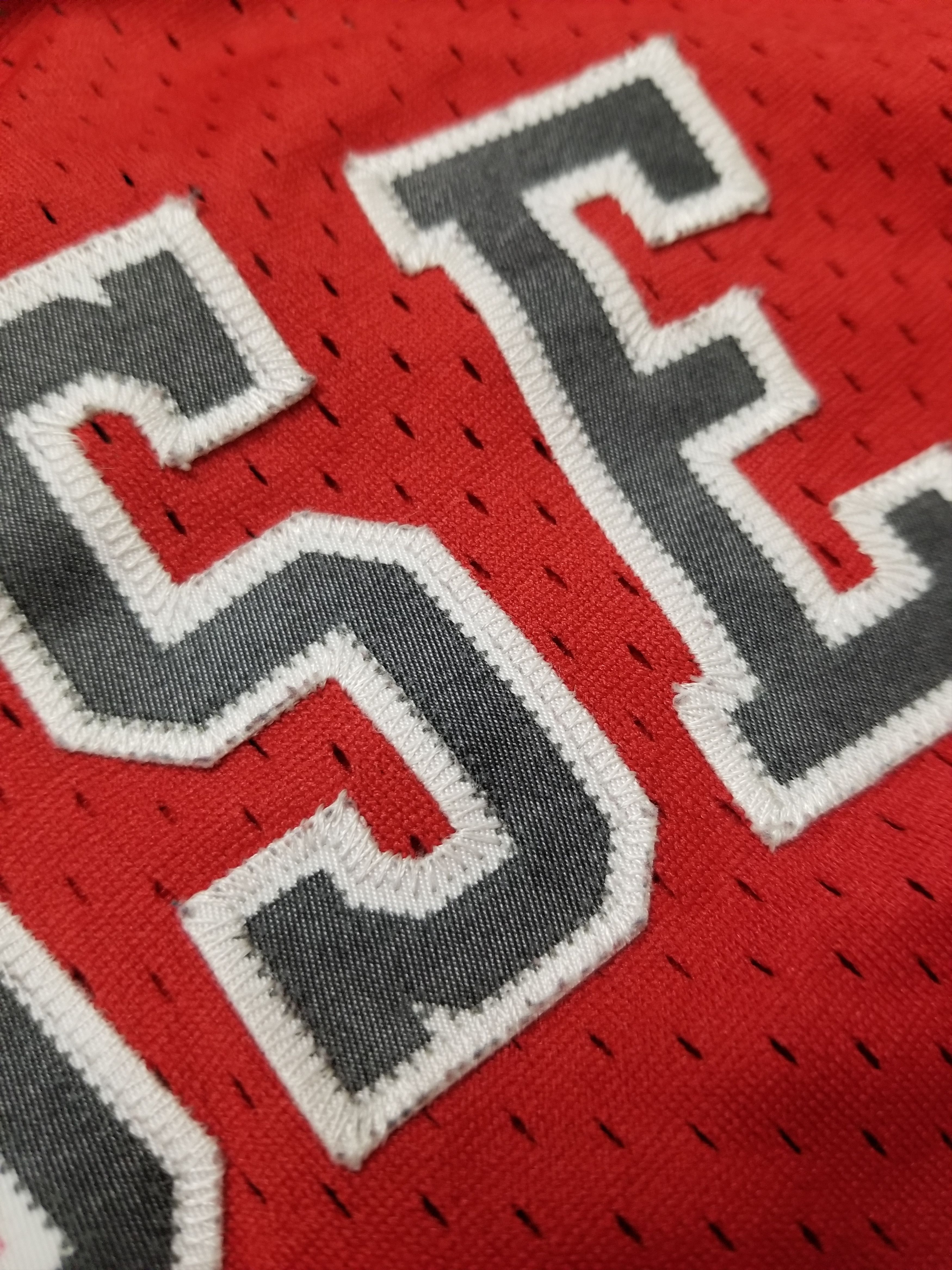Nike VTG NBA Nike Chicago Bulls Jalen Rose Jersey Size US L / EU 52-54 / 3 - 8 Thumbnail