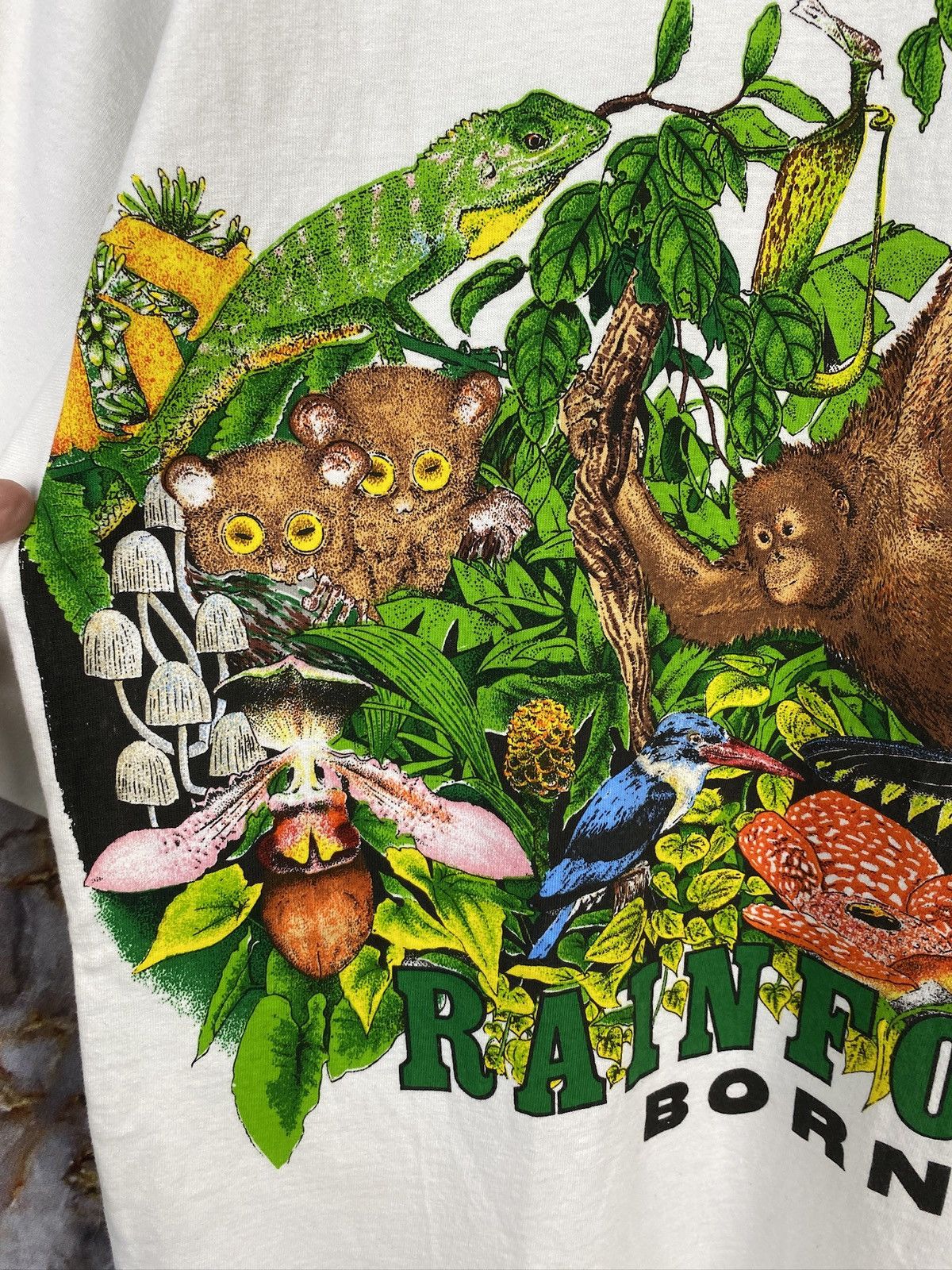 Vintage Men’s Rainforest Borneo T-Shirt Animals Size XXL Size US XXL / EU 58 / 5 - 5 Thumbnail