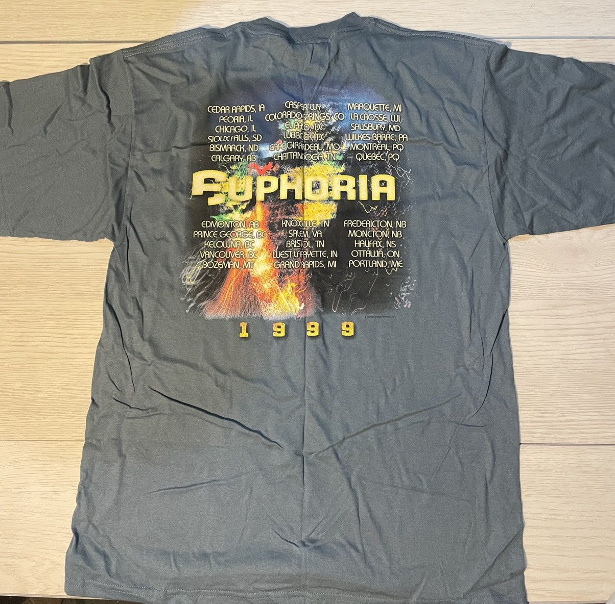 Vintage Def Leppard 1999 Euphoria Tour LARGE Shirt Vintage 90s RARE Size US L / EU 52-54 / 3 - 3 Thumbnail
