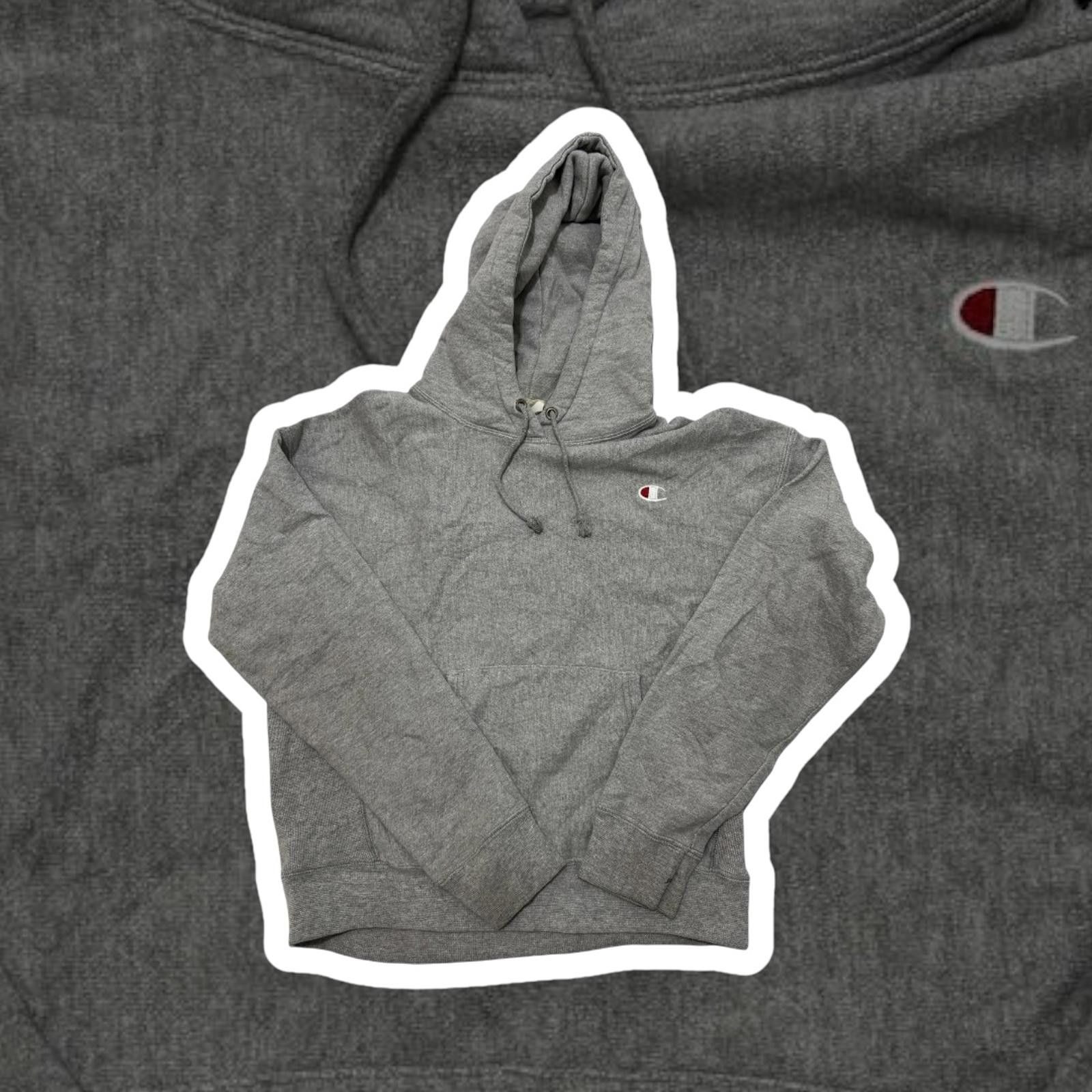 Champion Champion Gray Hoodie Sweatshirt Size US M / EU 48-50 / 2 - 1 Thumbnail