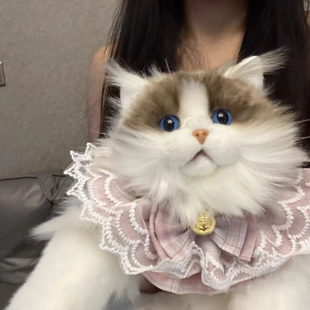 Japanese Brand Ragdoll Backpack Kitten Plush Doll Size ONE SIZE - 2 Thumbnail