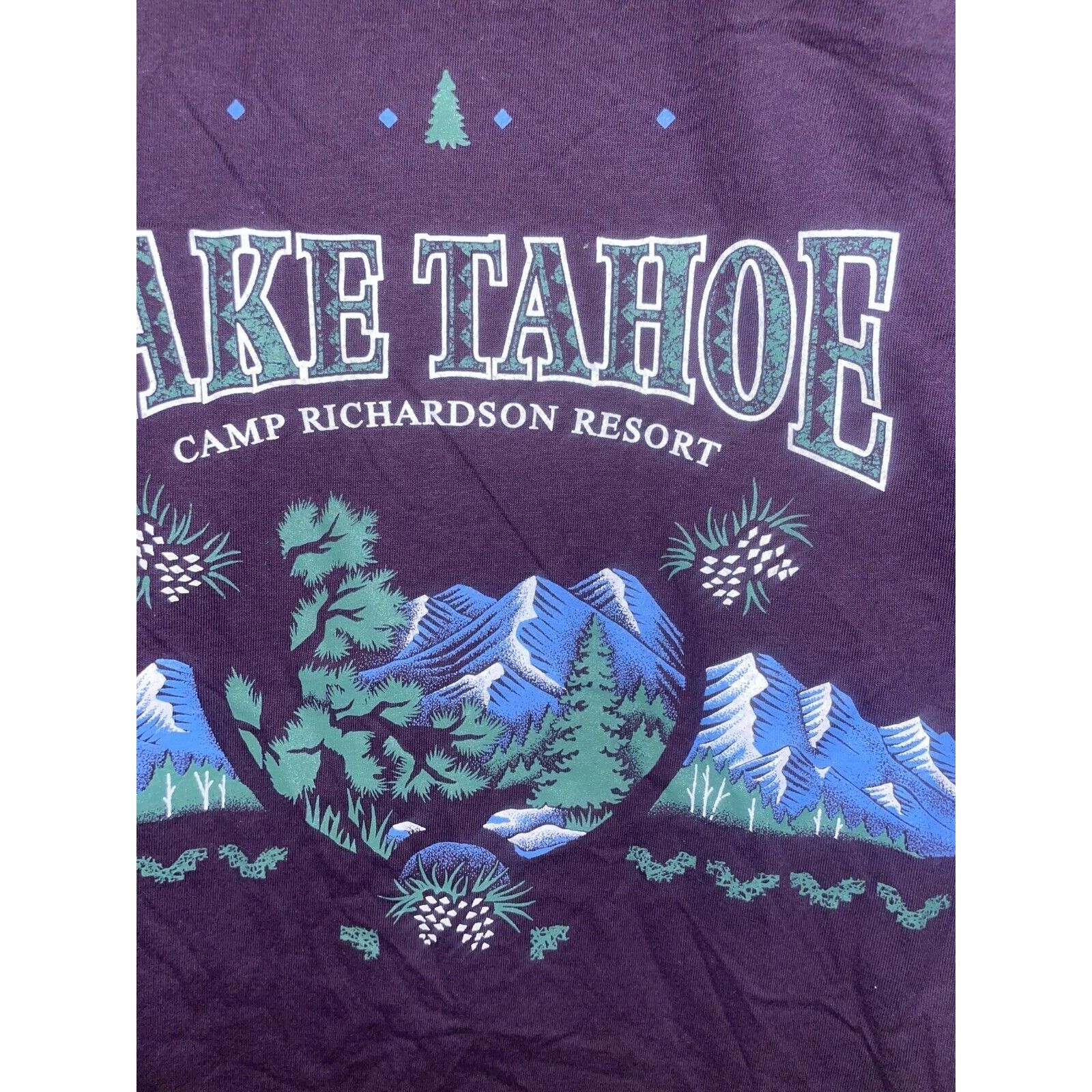 Jerzees Vintage Test Print Shirt Lake tahoe Camp Richardson Tee 90s Size US M / EU 48-50 / 2 - 3 Thumbnail