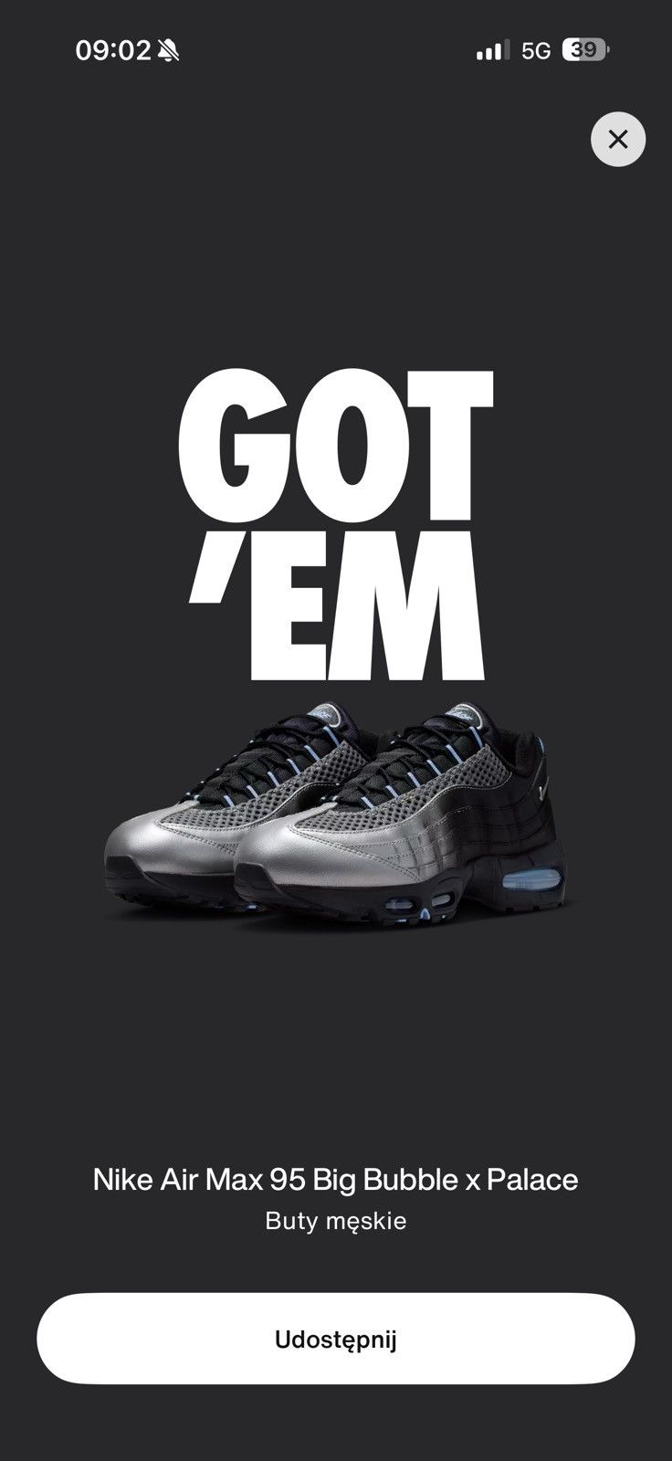 Nike Nike Air Max 95 Palace Size US 10 / EU 43 - 15 Thumbnail